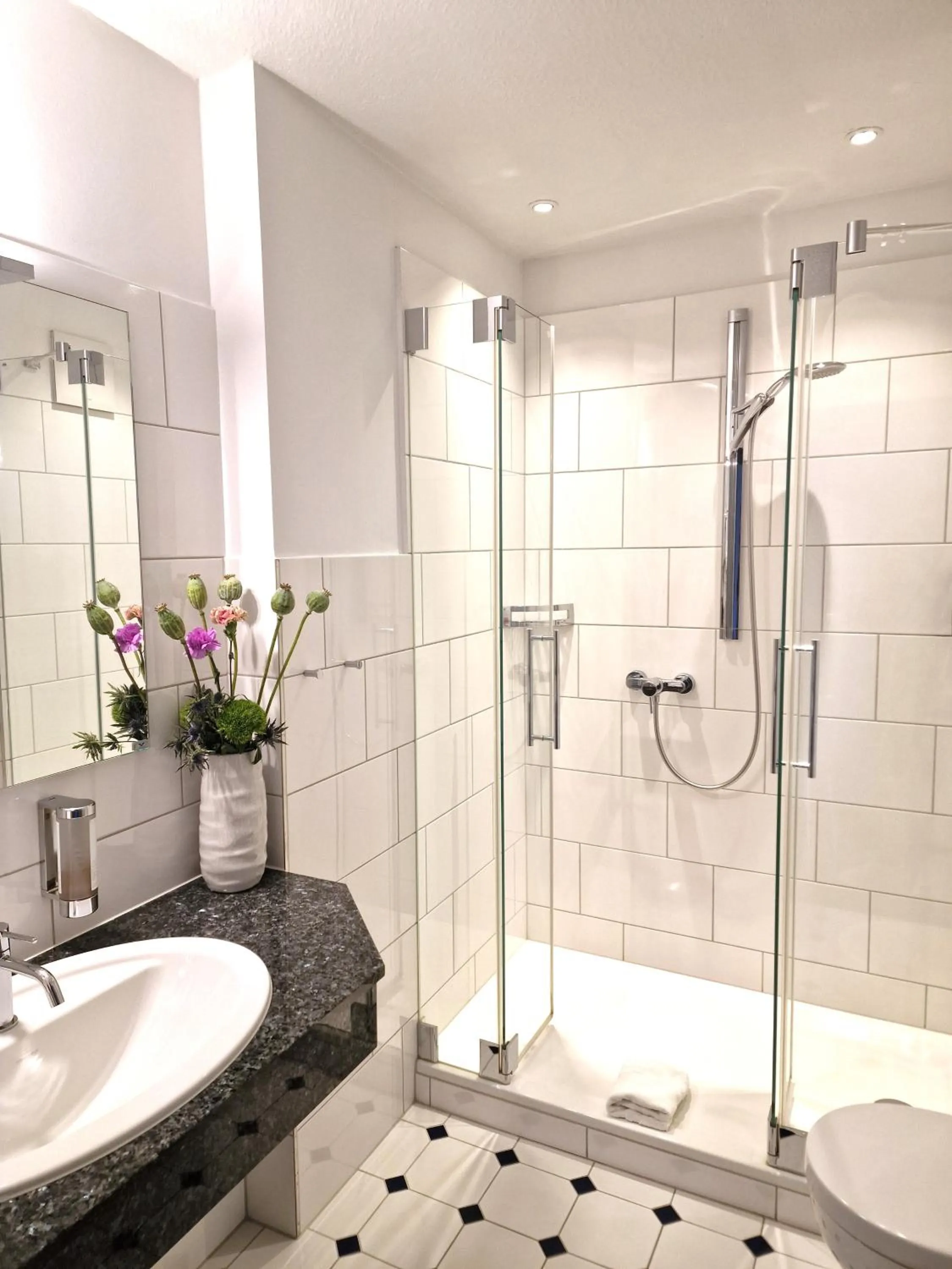 Shower in Hotel Altes Land