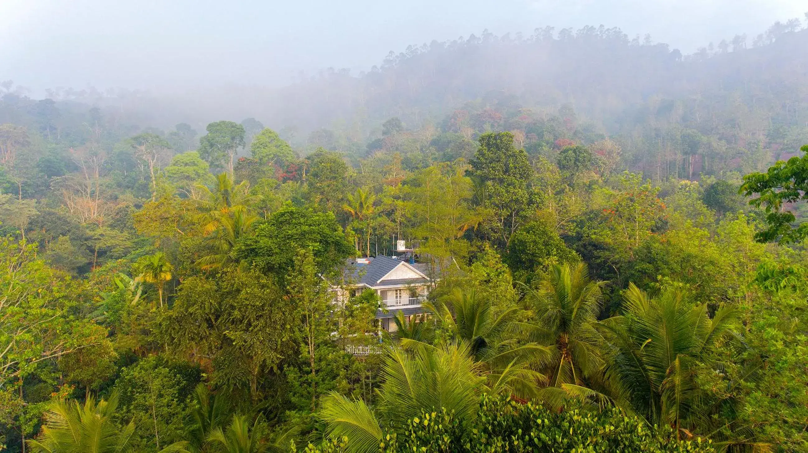 Alencherry plantation homestay Alencherry plantation homestay