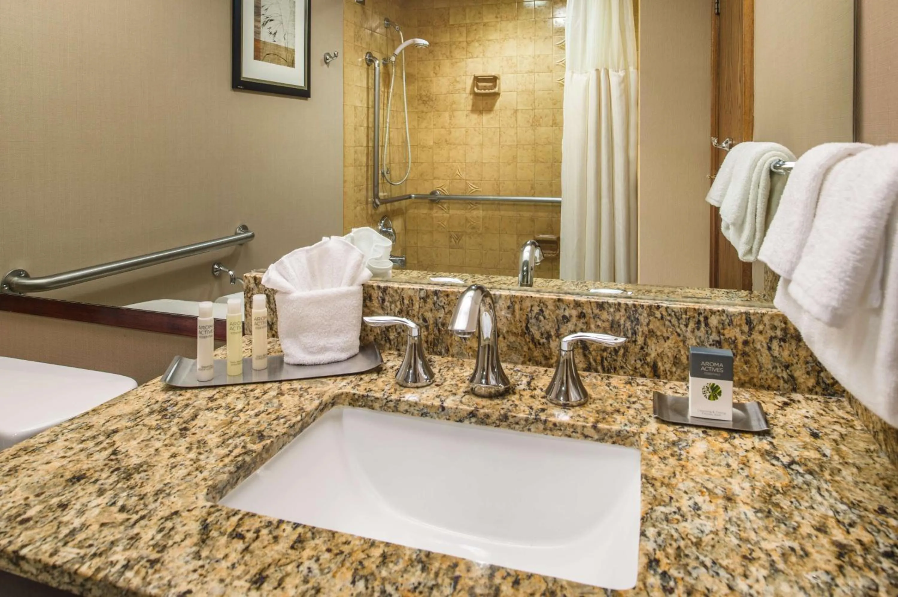 Bathroom in DoubleTree by Hilton Portland