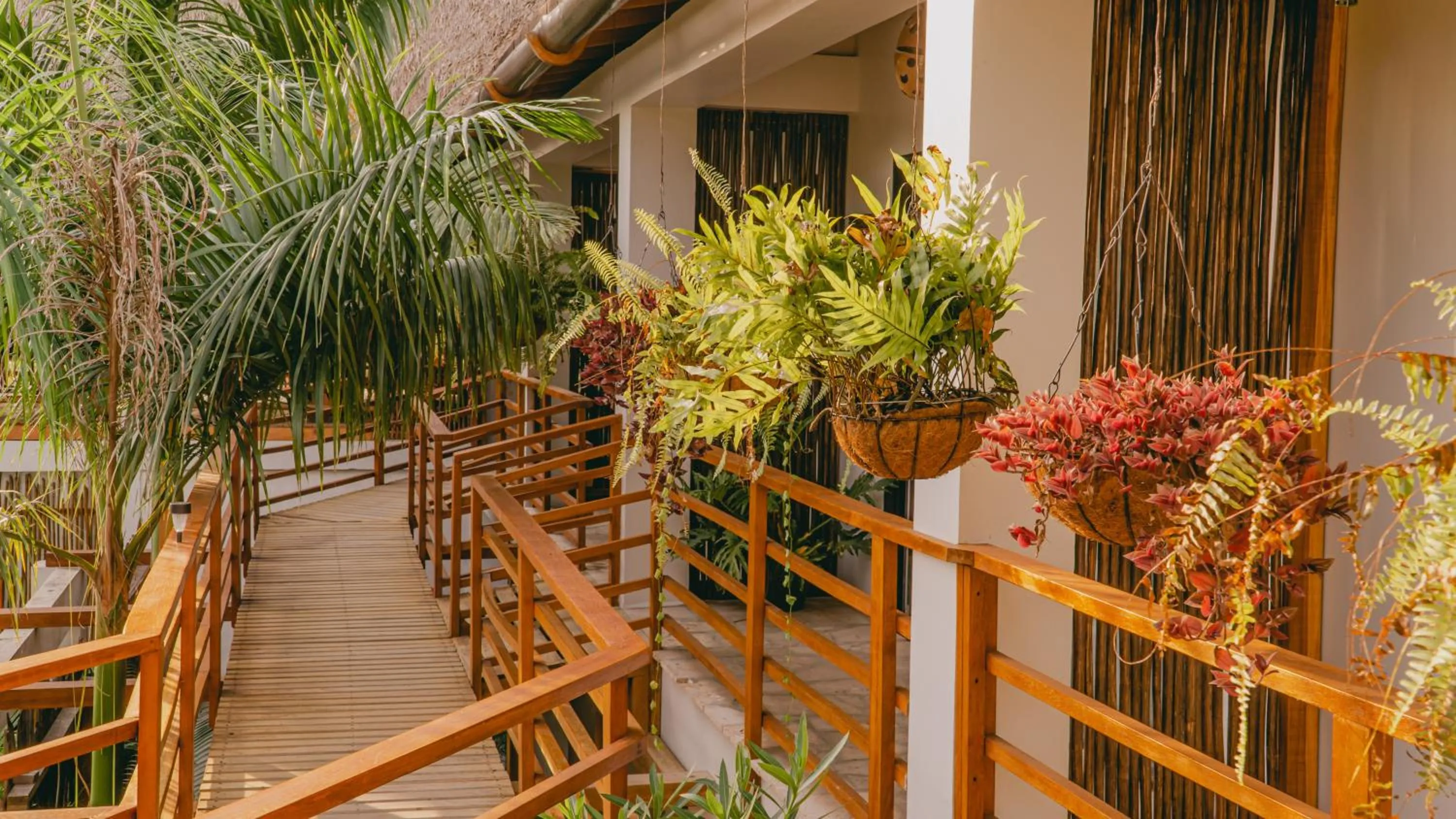 Garden view in Villa Eden Palomino