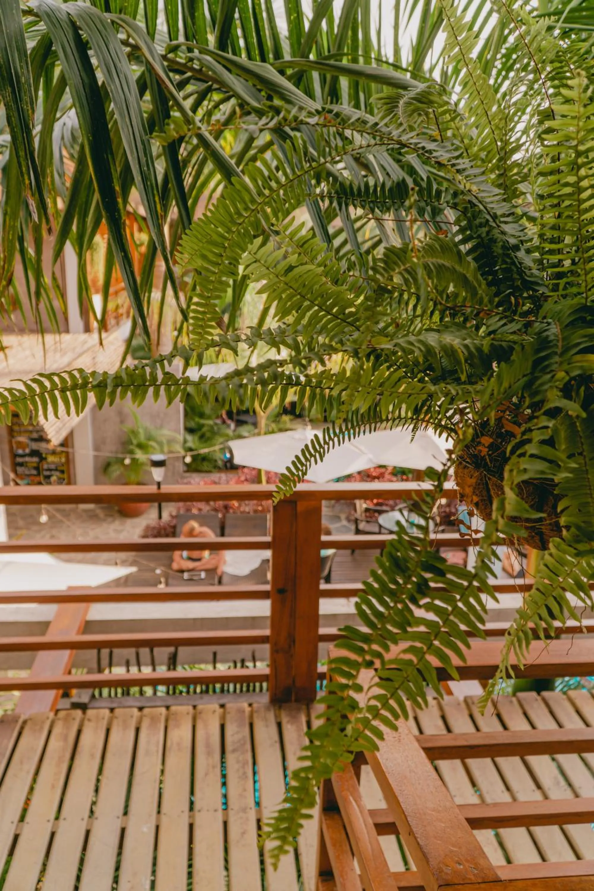 Balcony/Terrace in Villa Eden Palomino
