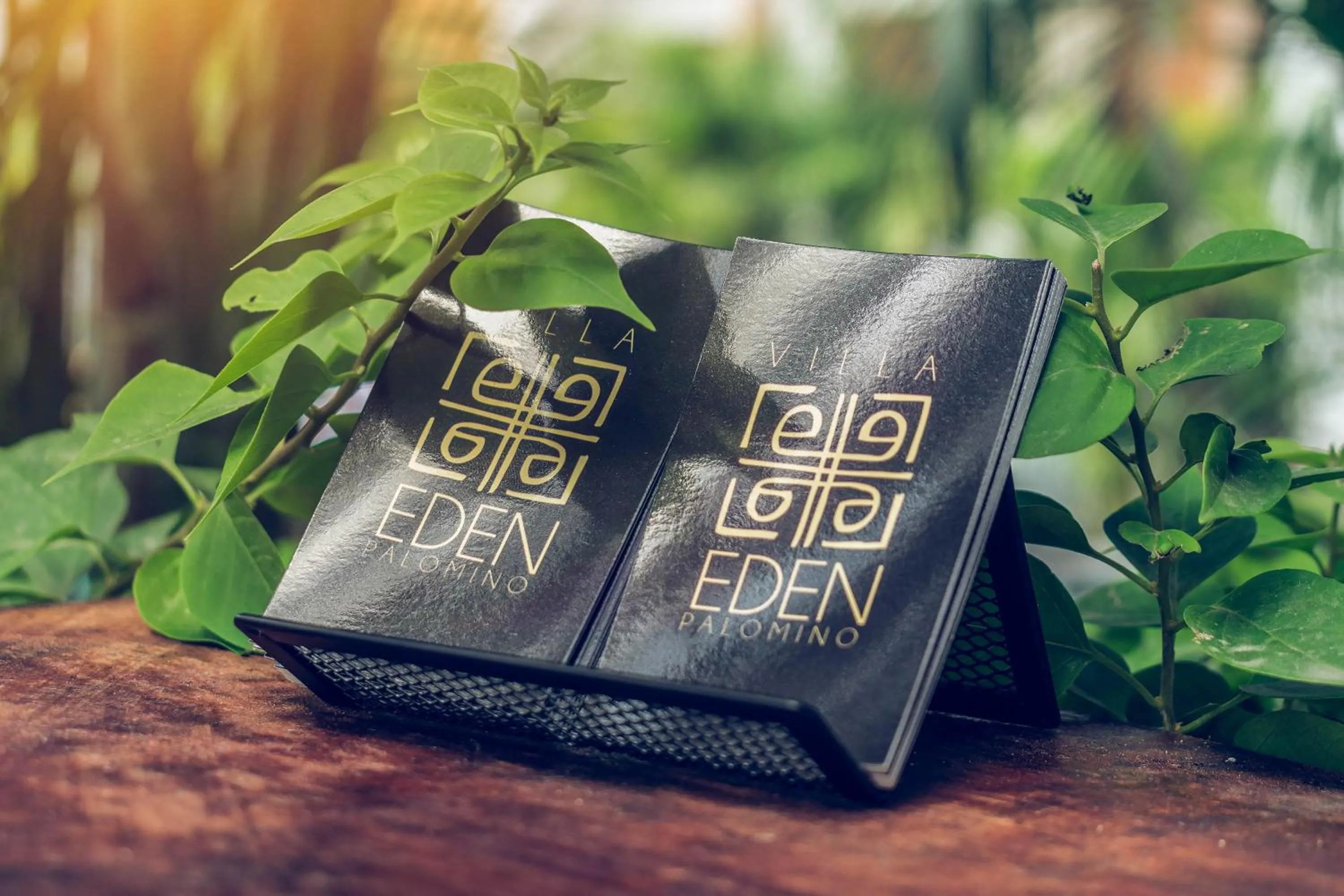 Property building in Villa Eden Palomino