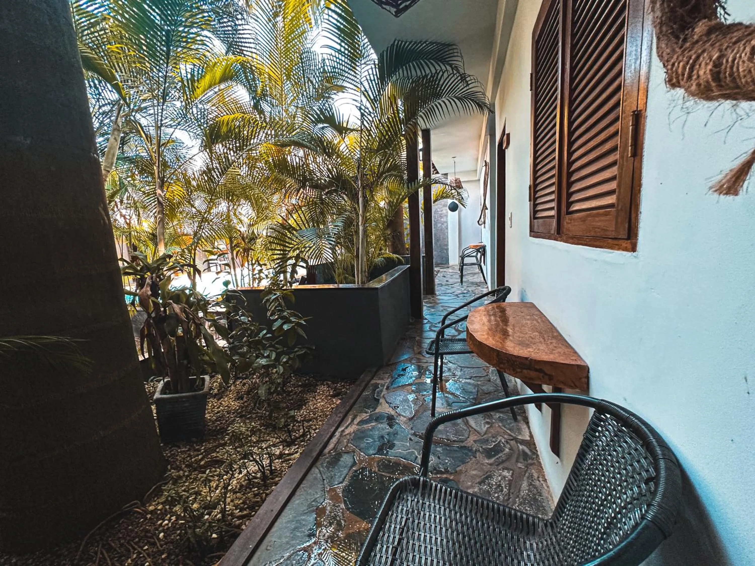 Garden view in Villa Eden Palomino