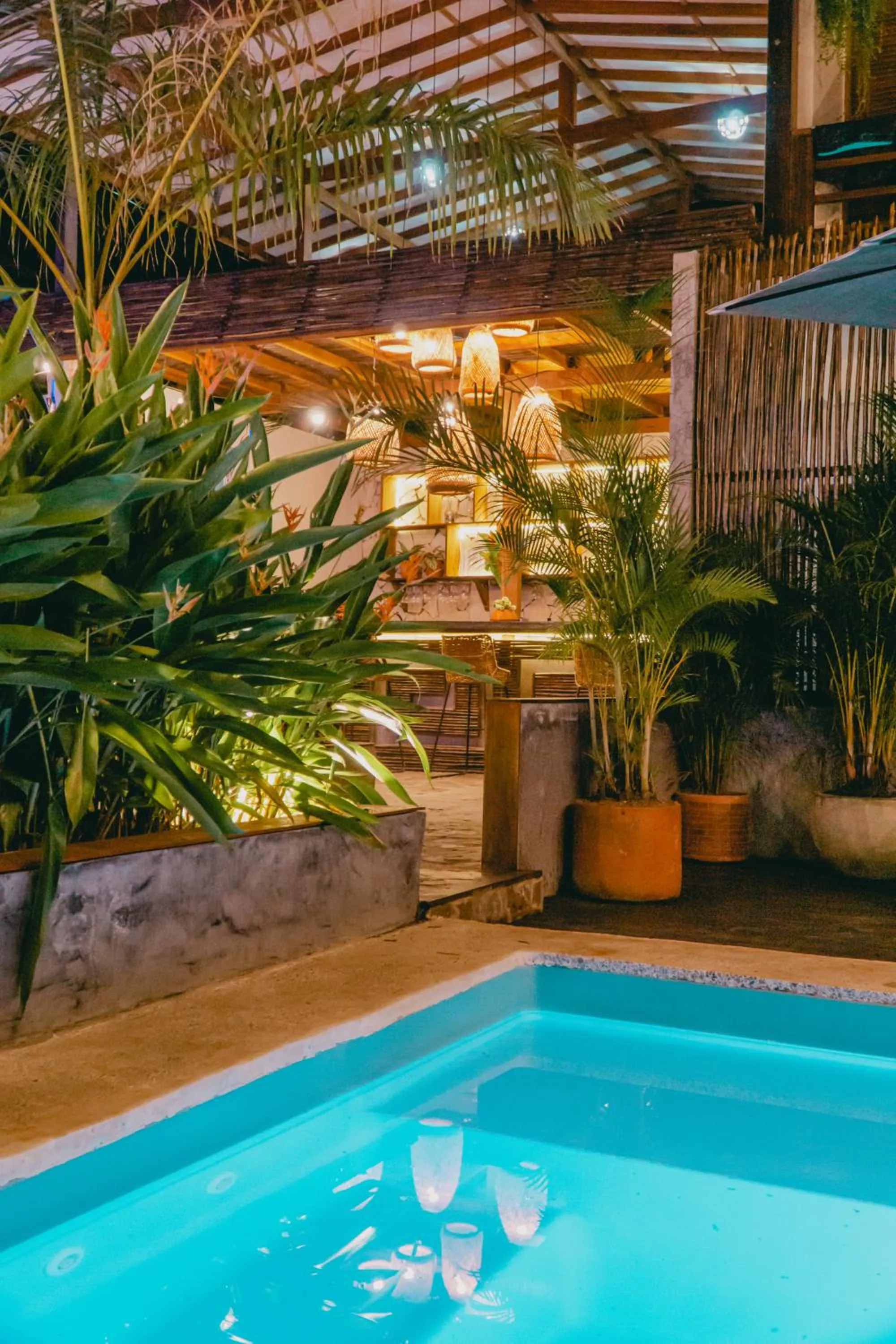 Garden in Villa Eden Palomino