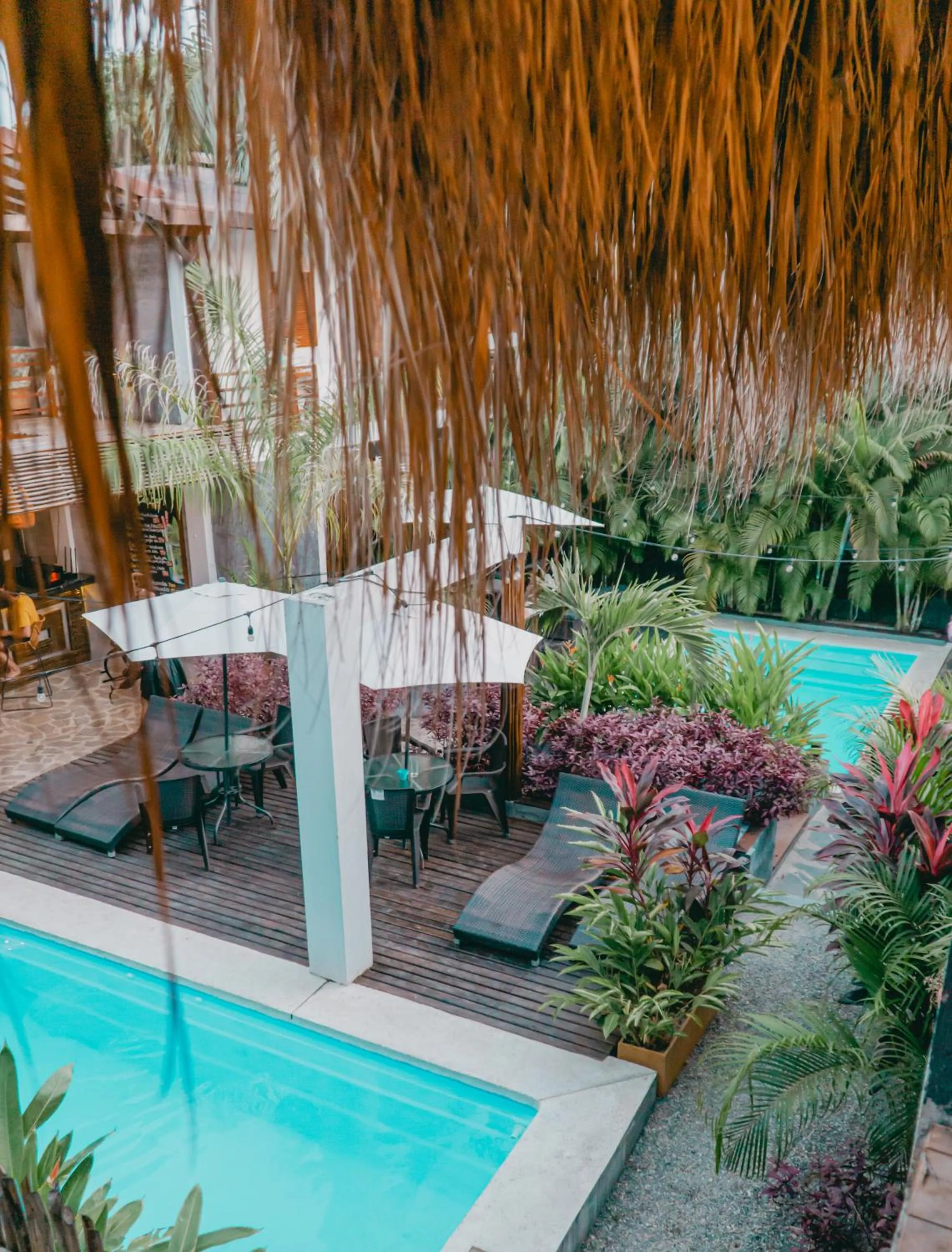 Garden view in Villa Eden Palomino