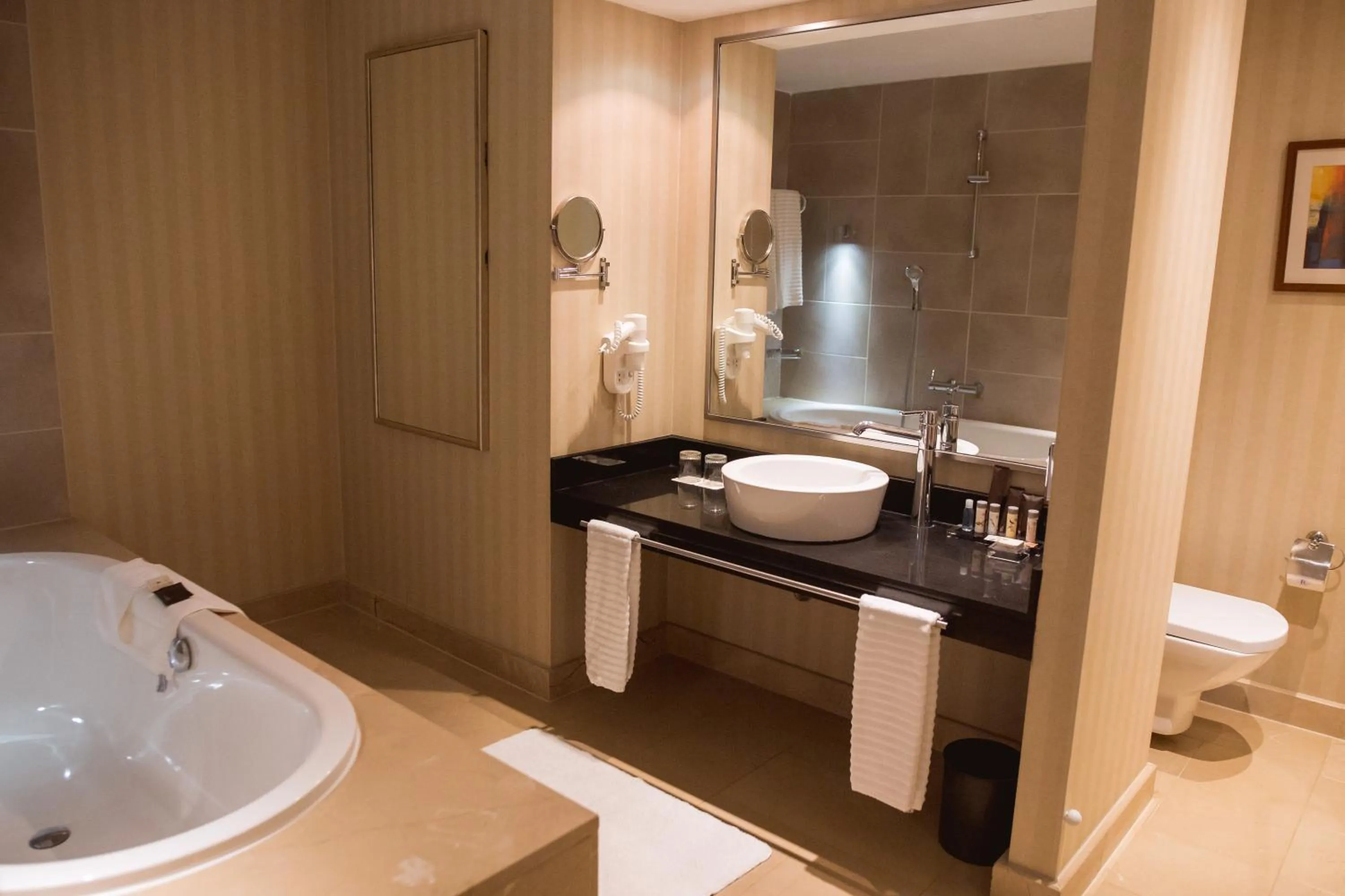 Toilet in Renaissance by Crystall