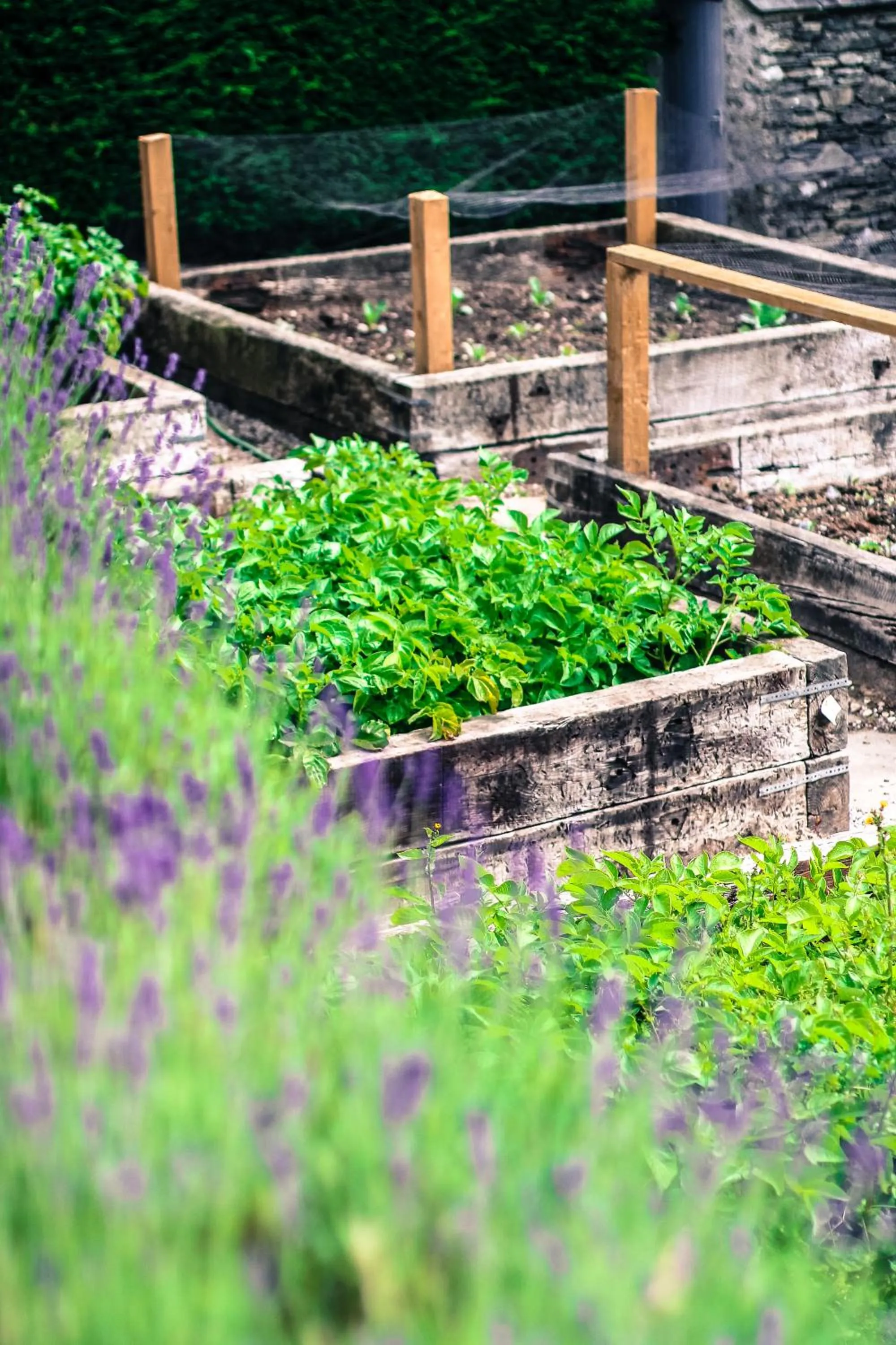 Property building in The Punch Bowl Inn