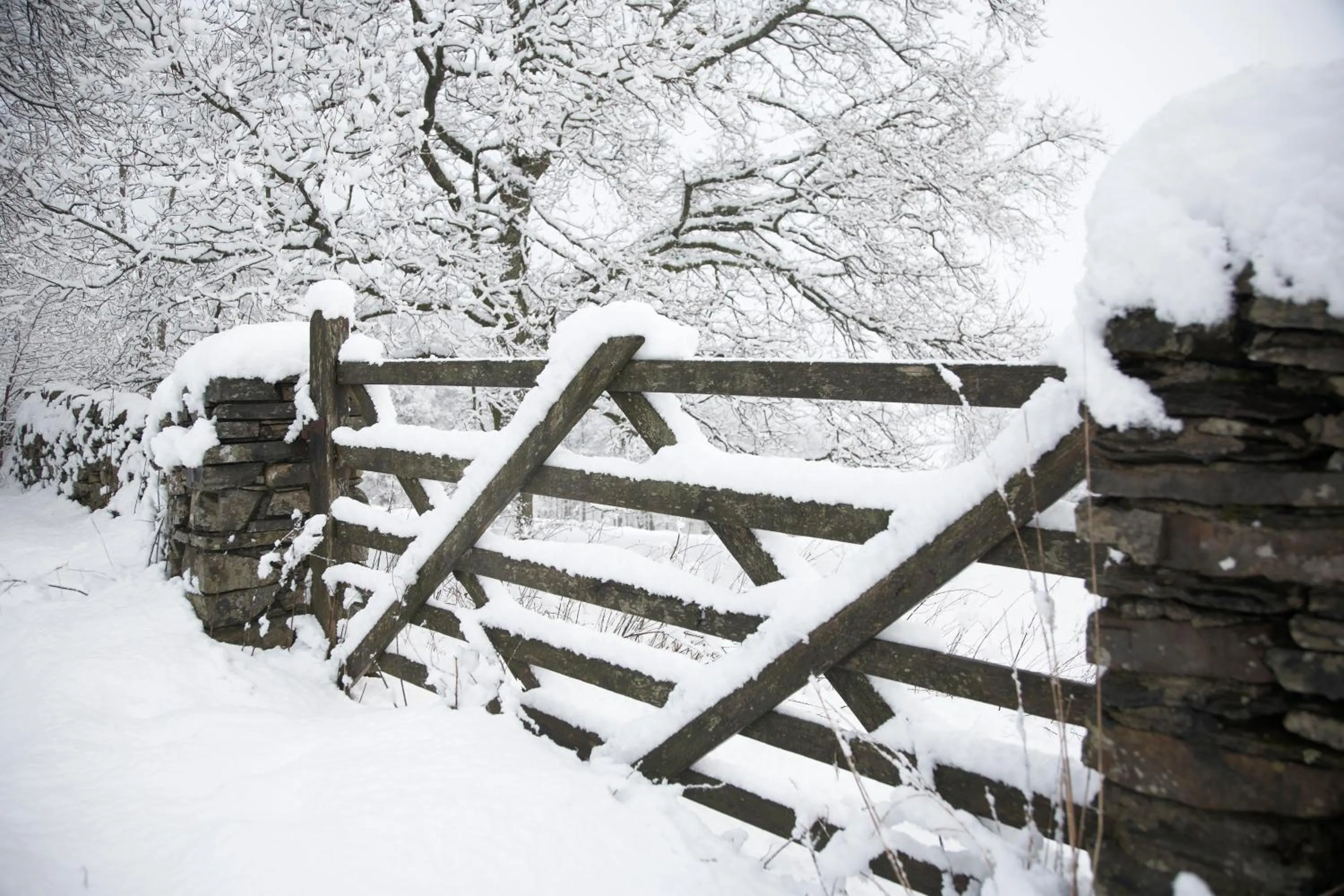 Property building in The Punch Bowl Inn