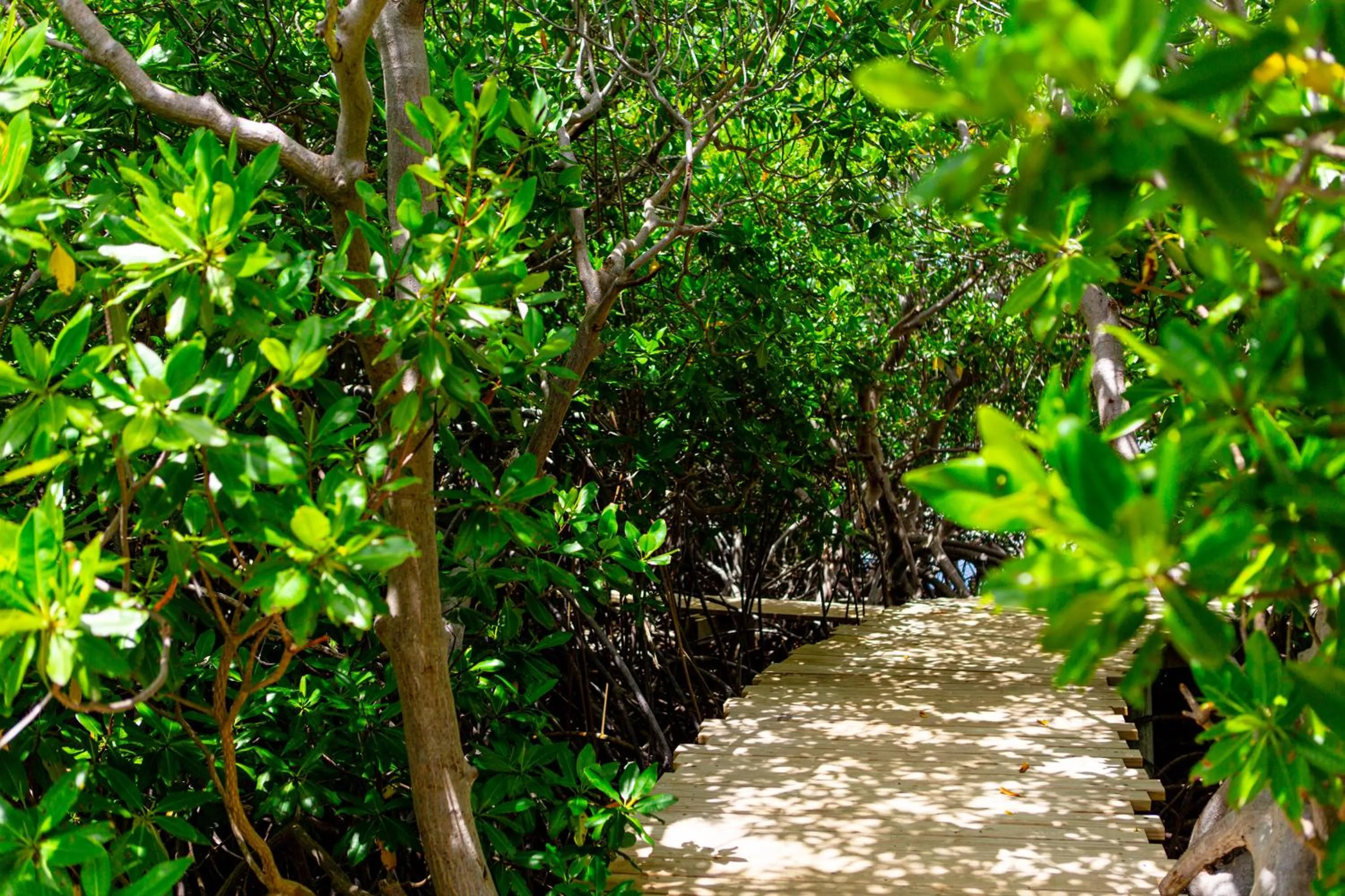 Garden in Escape at Nonsuch Bay Antigua - All Inclusive - Adults Only