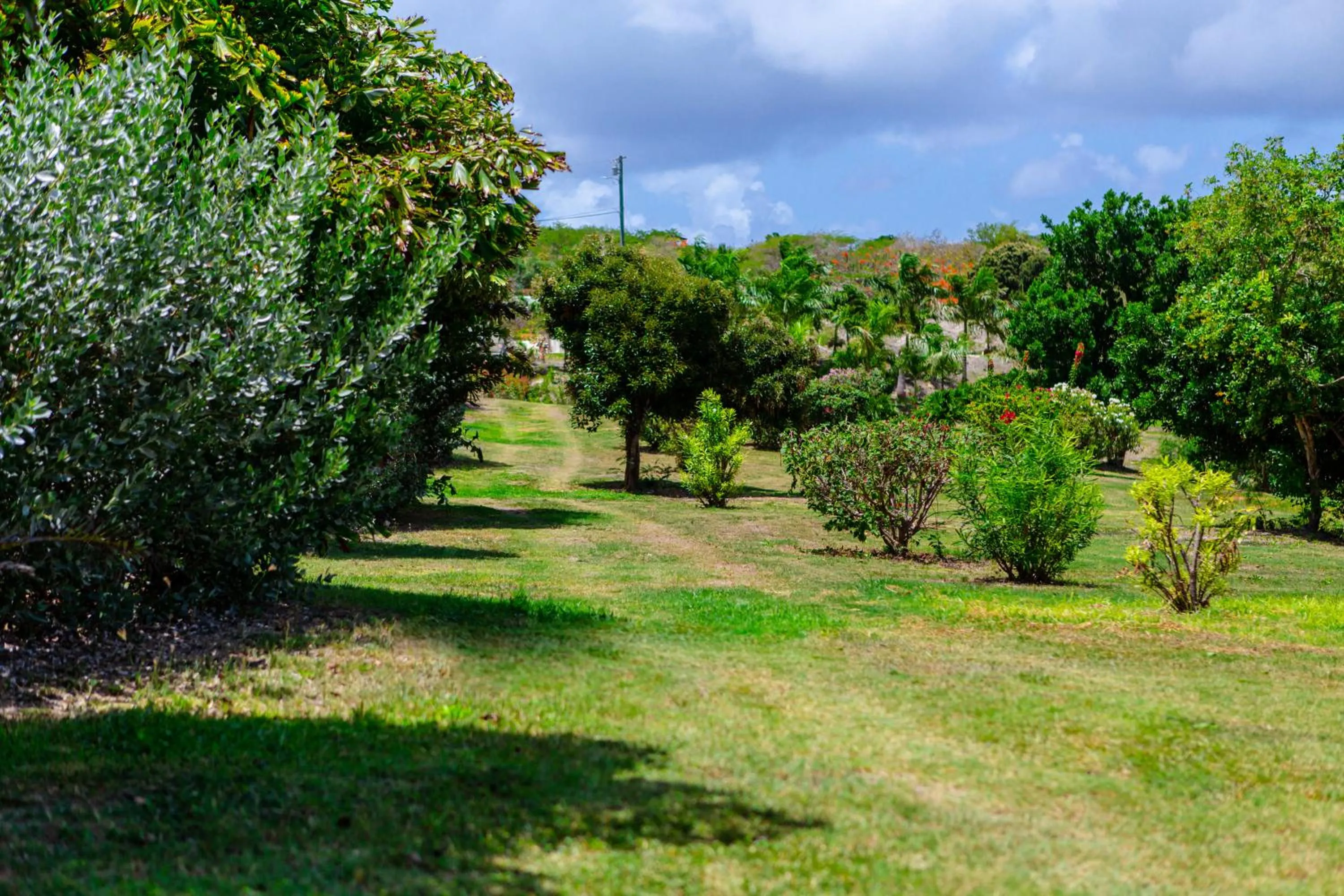 Garden in Escape at Nonsuch Bay Antigua - All Inclusive - Adults Only