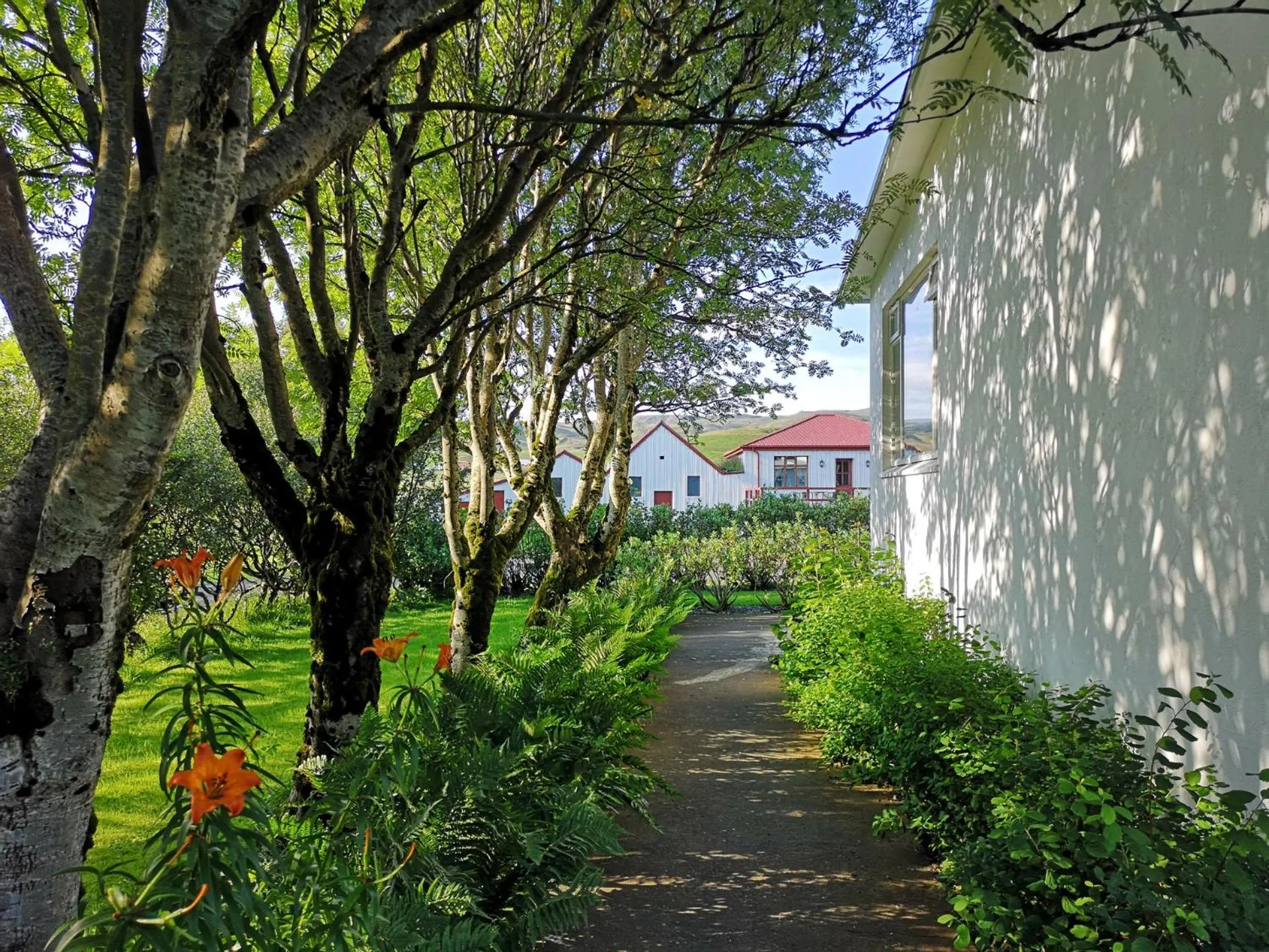 Summer in Sólheimahjáleiga Guesthouse