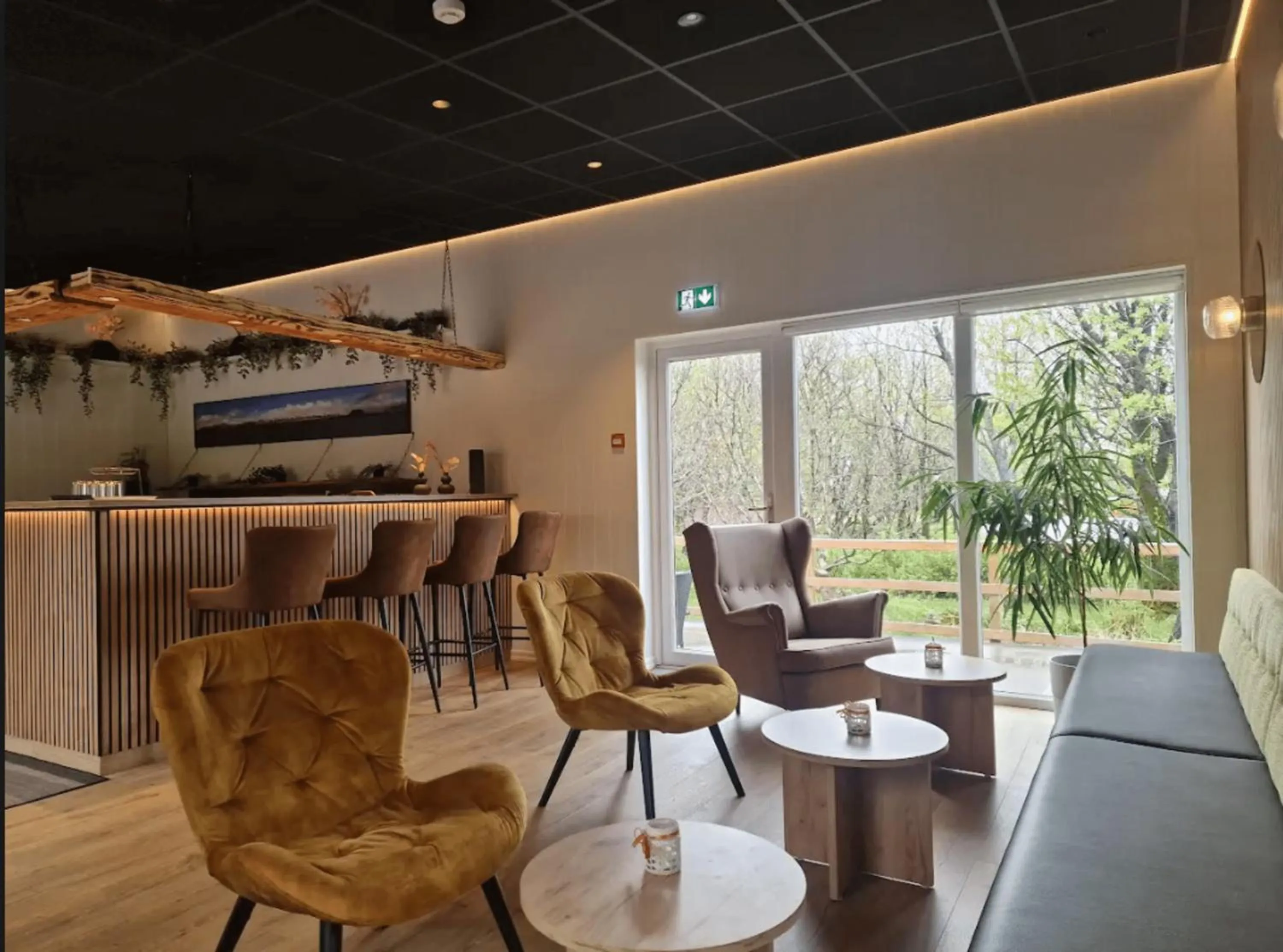 Lobby or reception in Sólheimahjáleiga Guesthouse