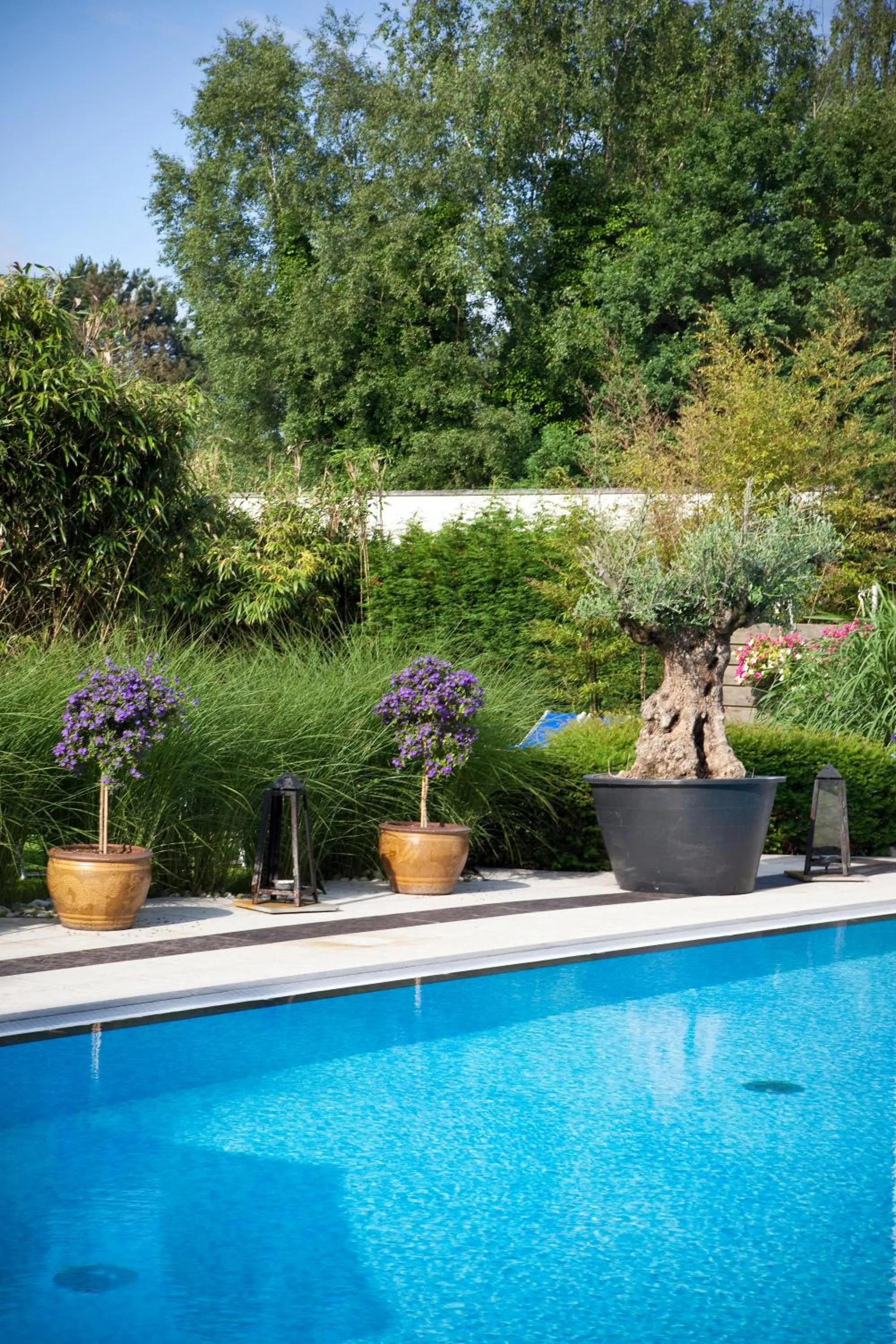 Swimming pool in Hotel Thermen Mineraal