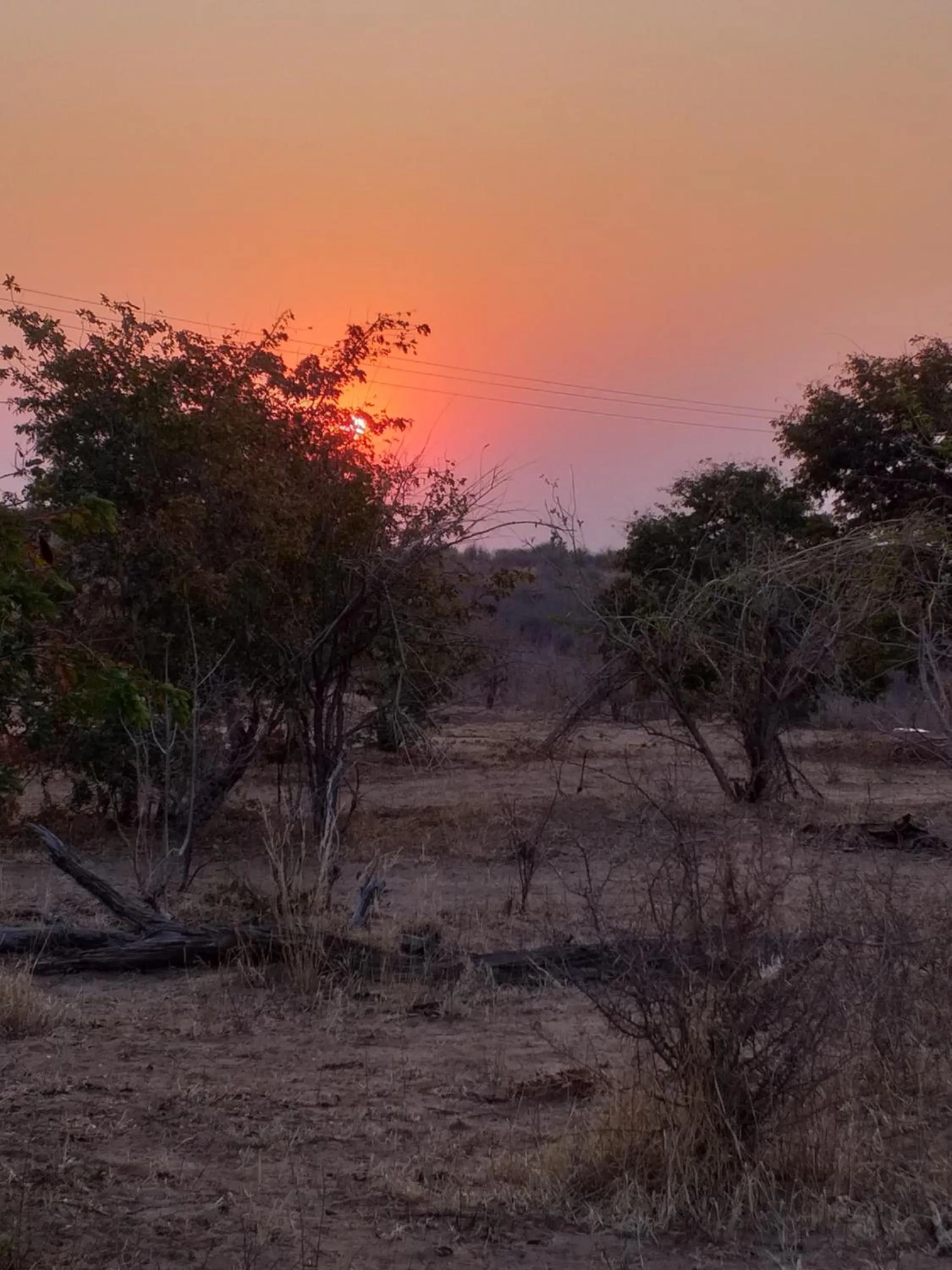 Sunset in Travelodge Kasane