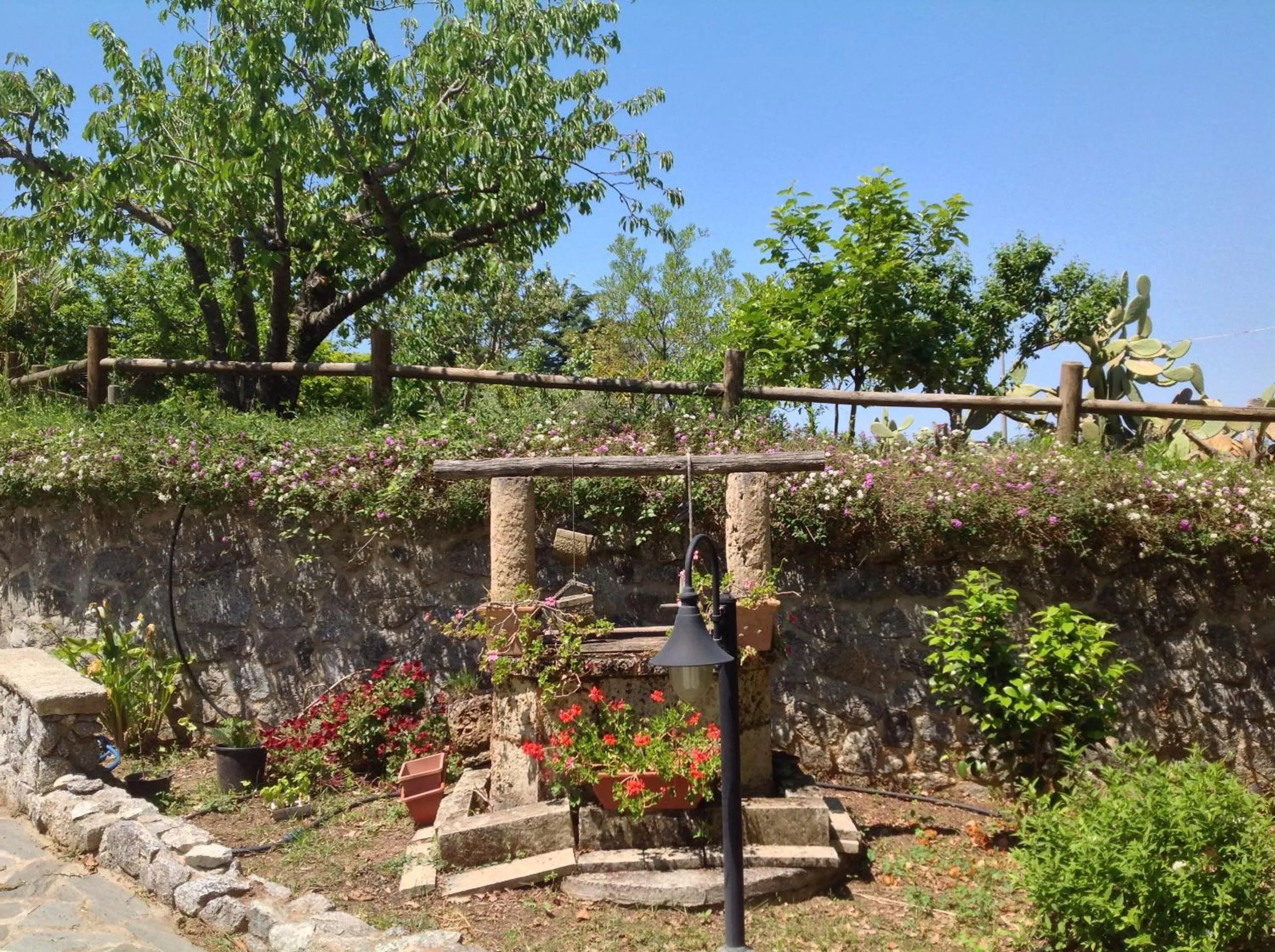 Garden in B & B Korello