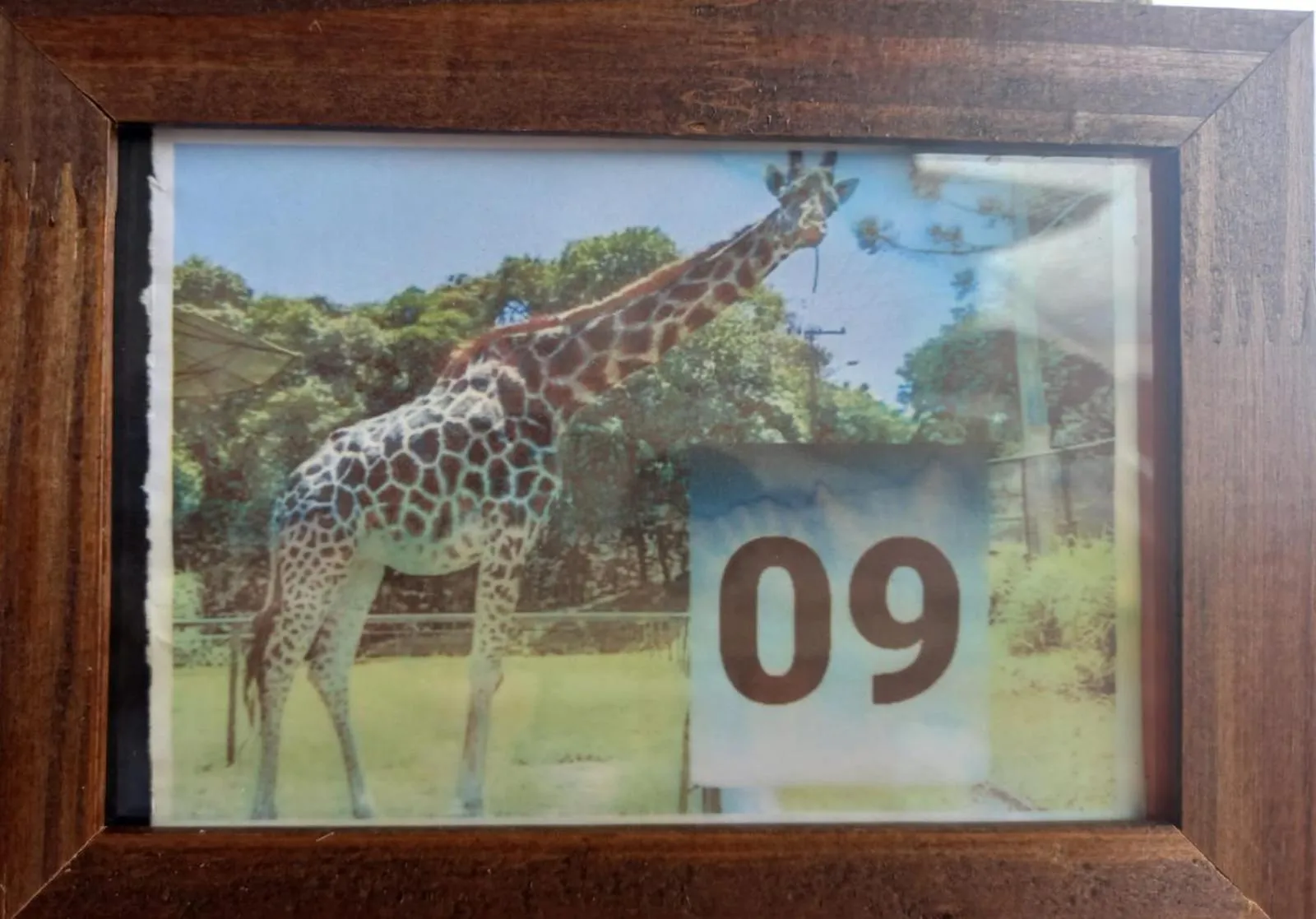 Logo/Certificate/Sign in Pousada Zambeze