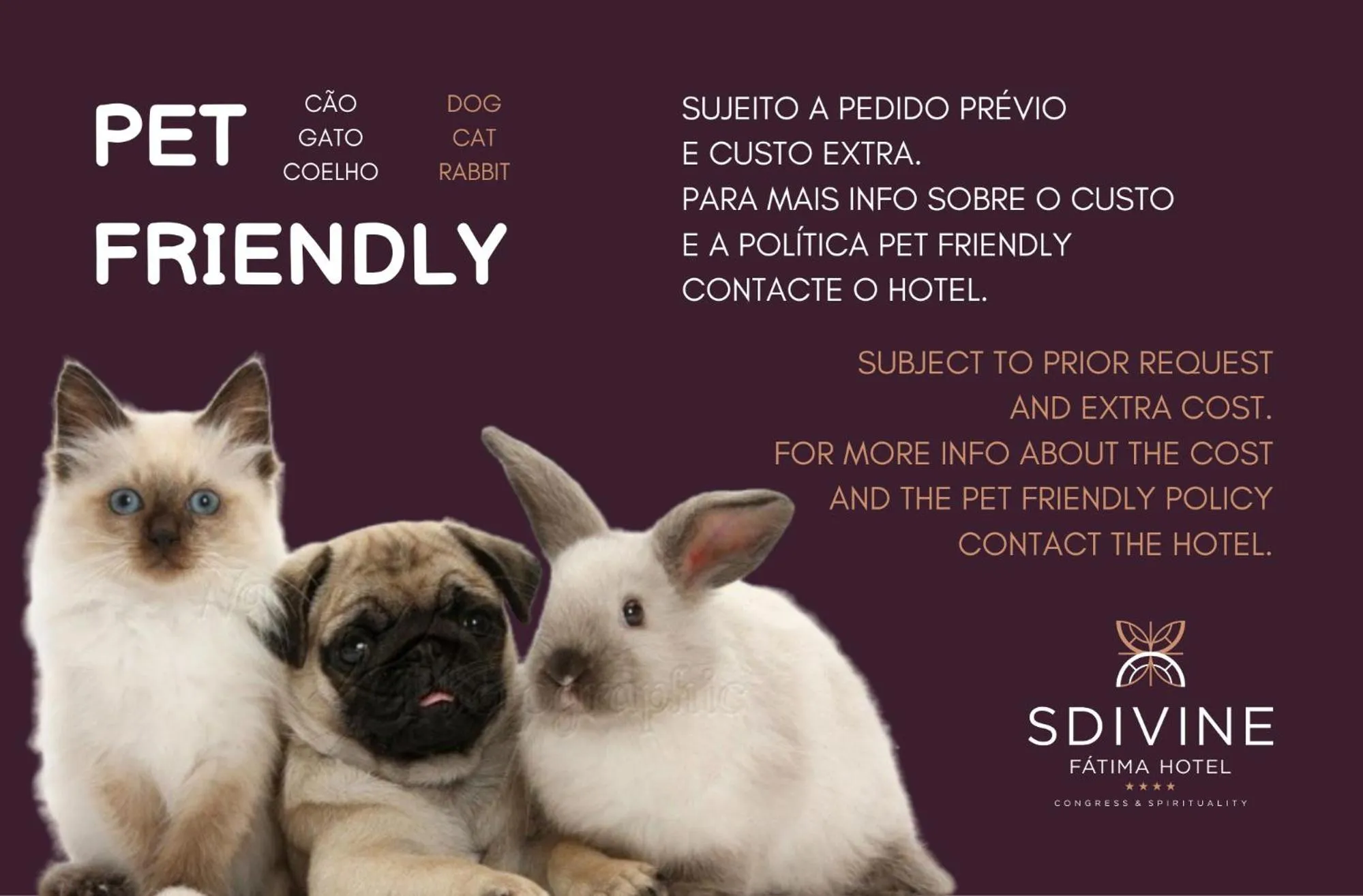 Property building in SDivine Fatima Hotel, Congress & Spirituality