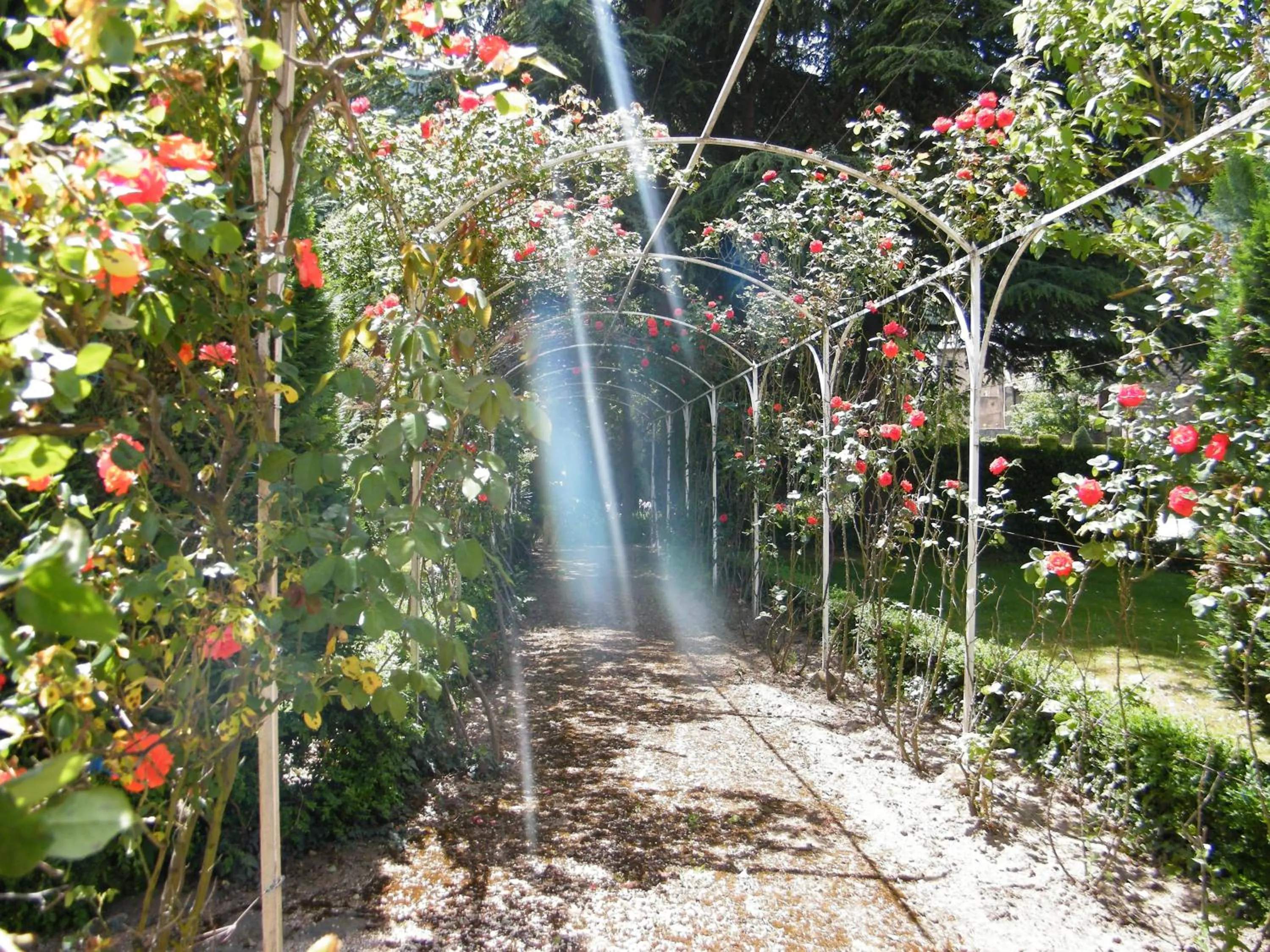 Garden in Grand Hôtel du Parc