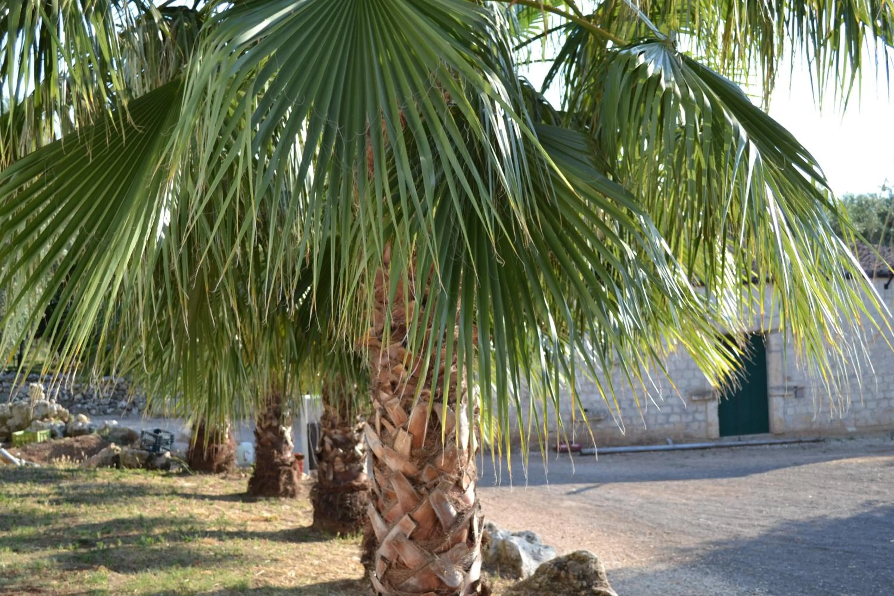 Masseria Romagnolo