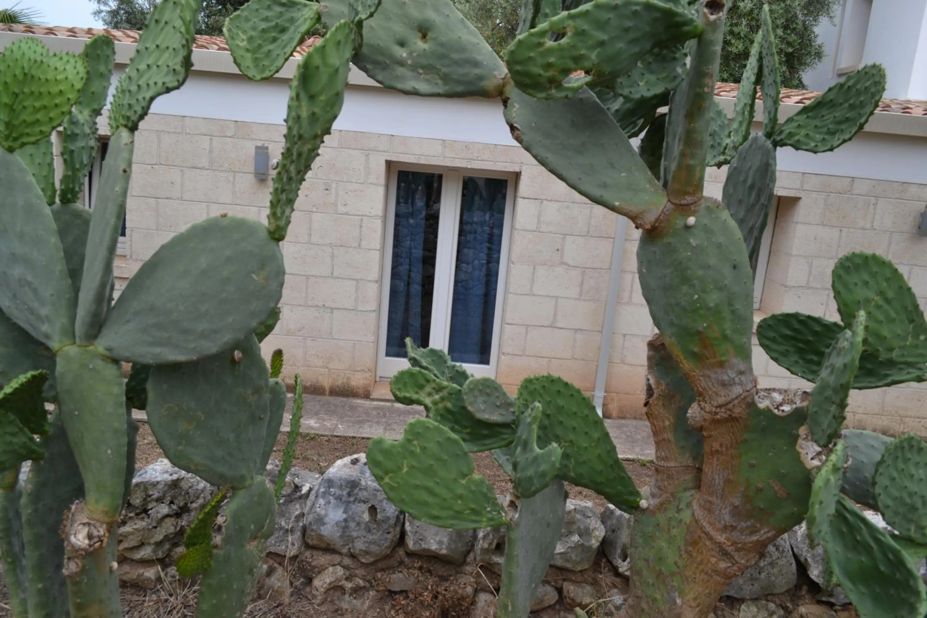 Masseria Romagnolo