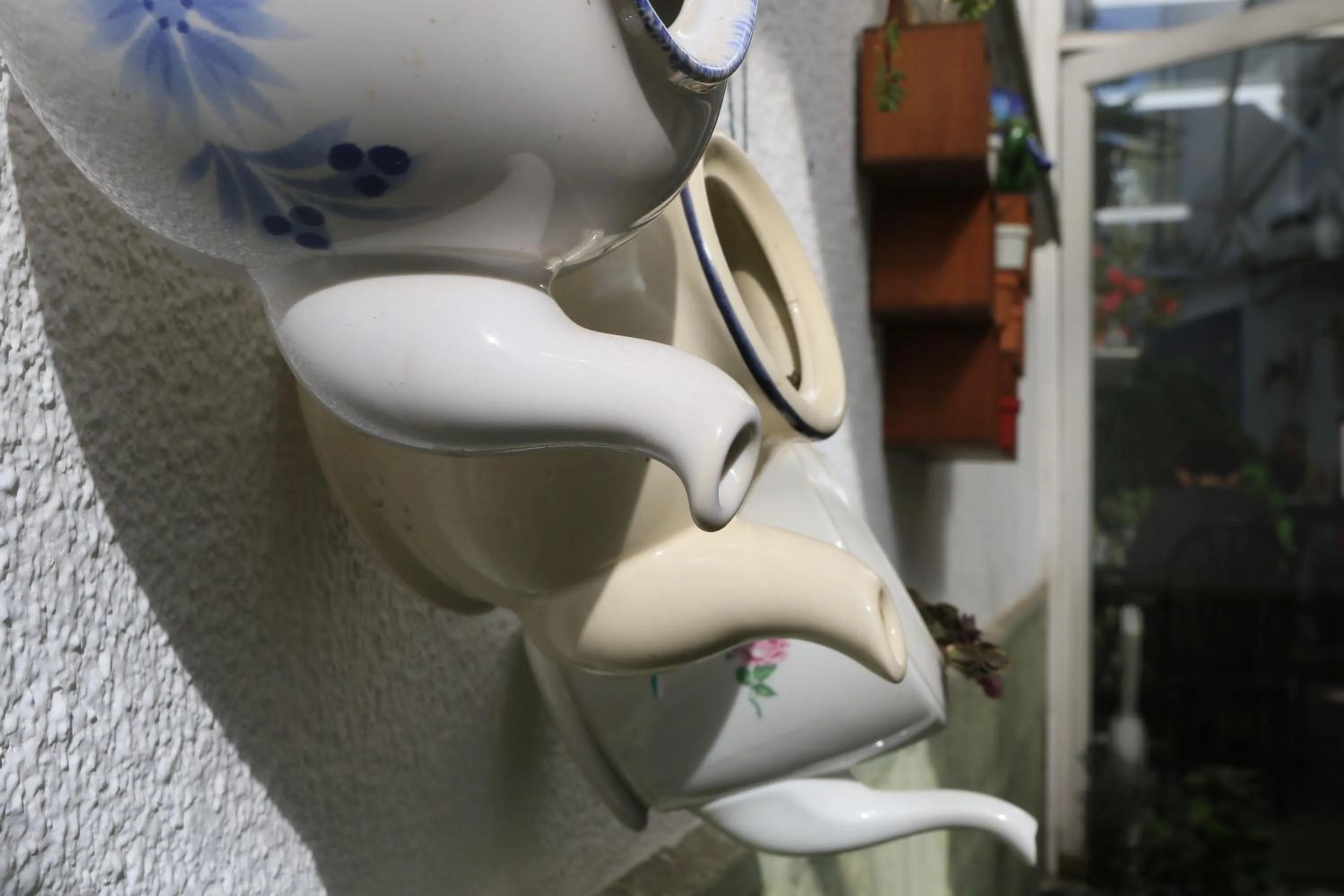 Garden in Casa Fusion Hotel Boutique