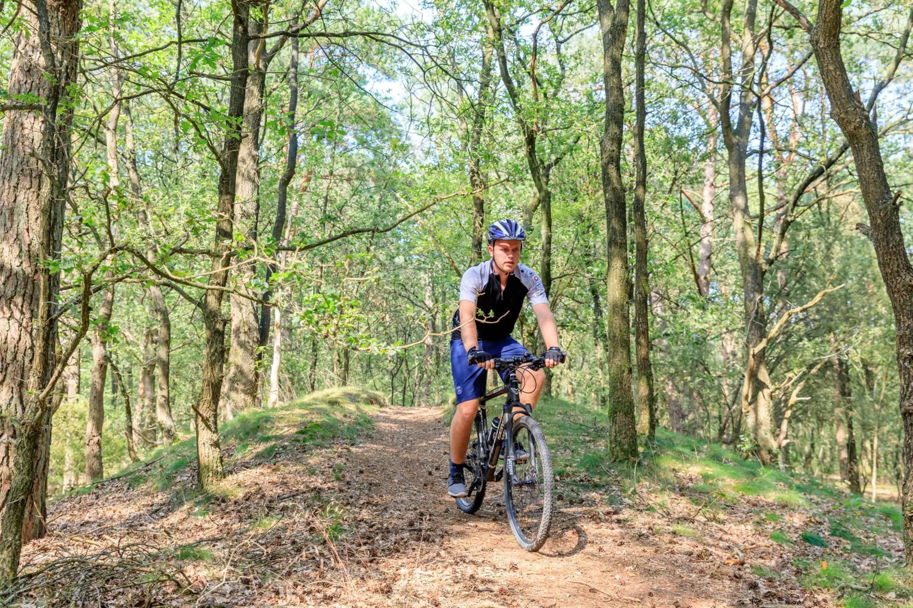 Natural landscape in RCN Vakantiepark de Noordster
