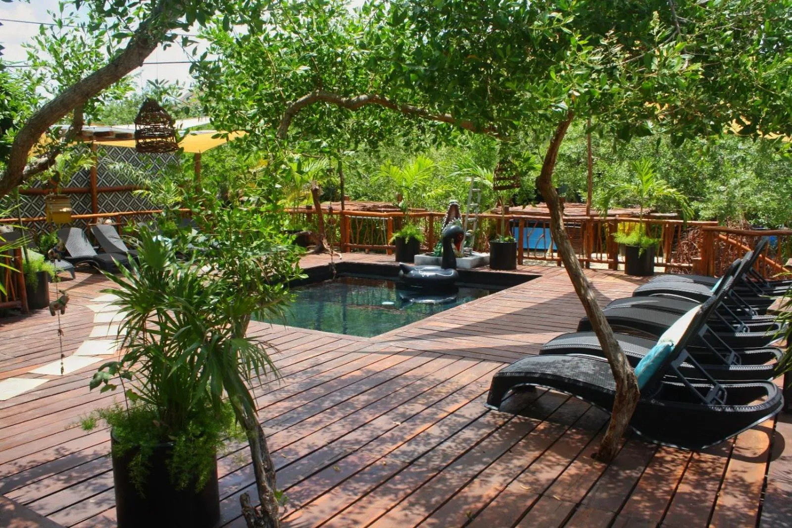 Swimming pool in Hotel Casa HX - Adults Only