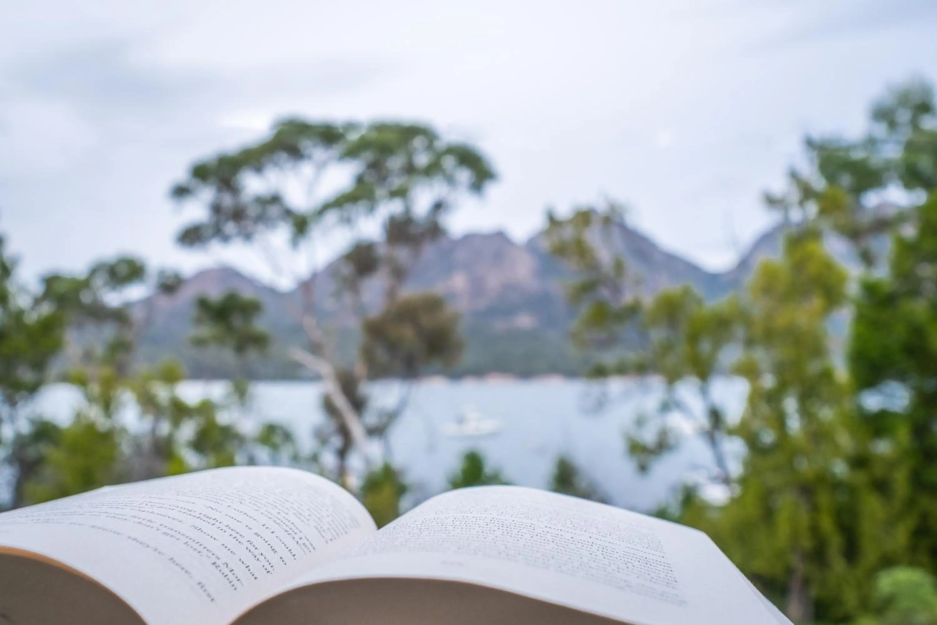 Natural landscape in Freycinet Cottage 2 – Dolerite