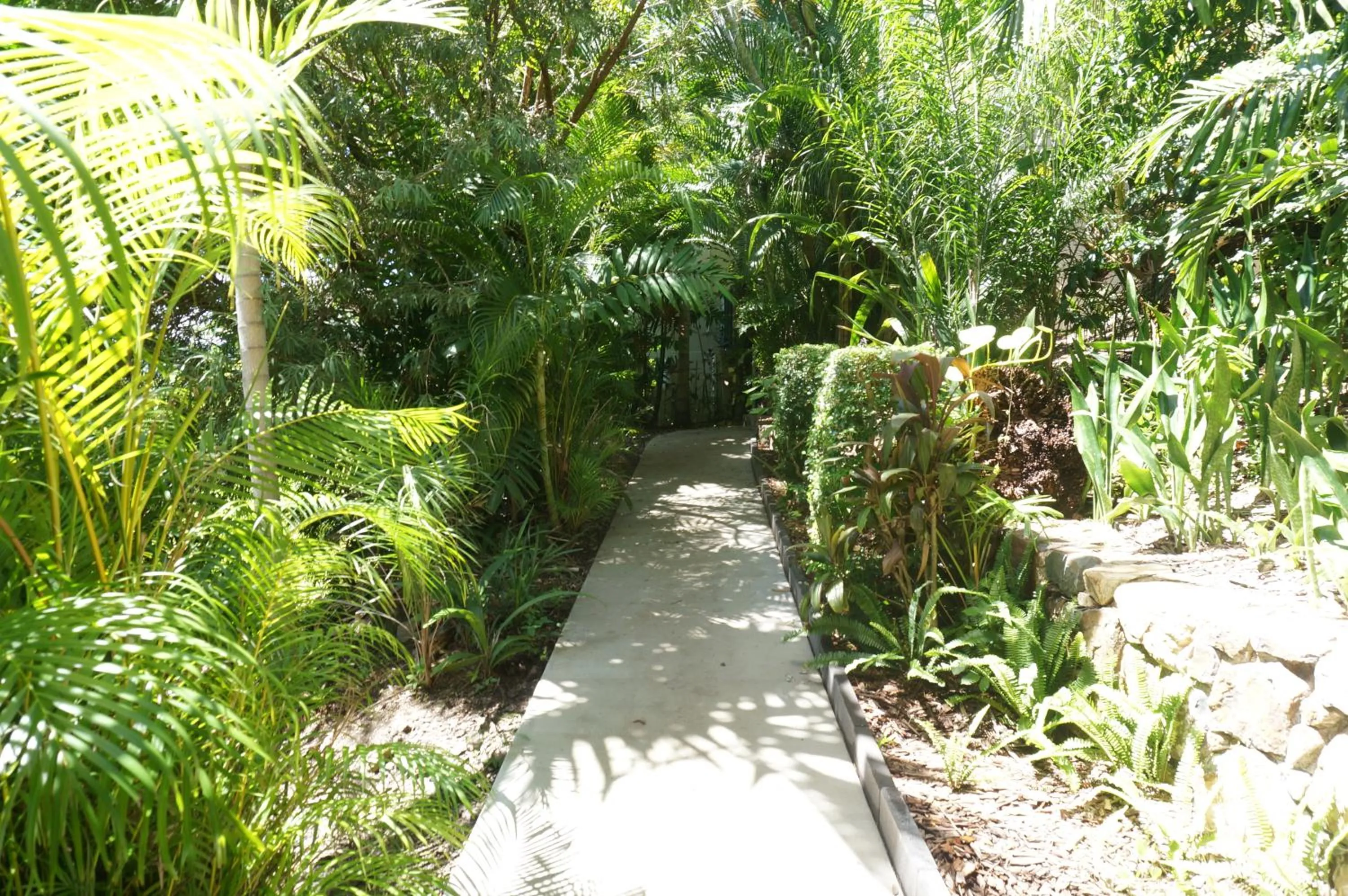 Garden in Whitsunday Terraces Resort