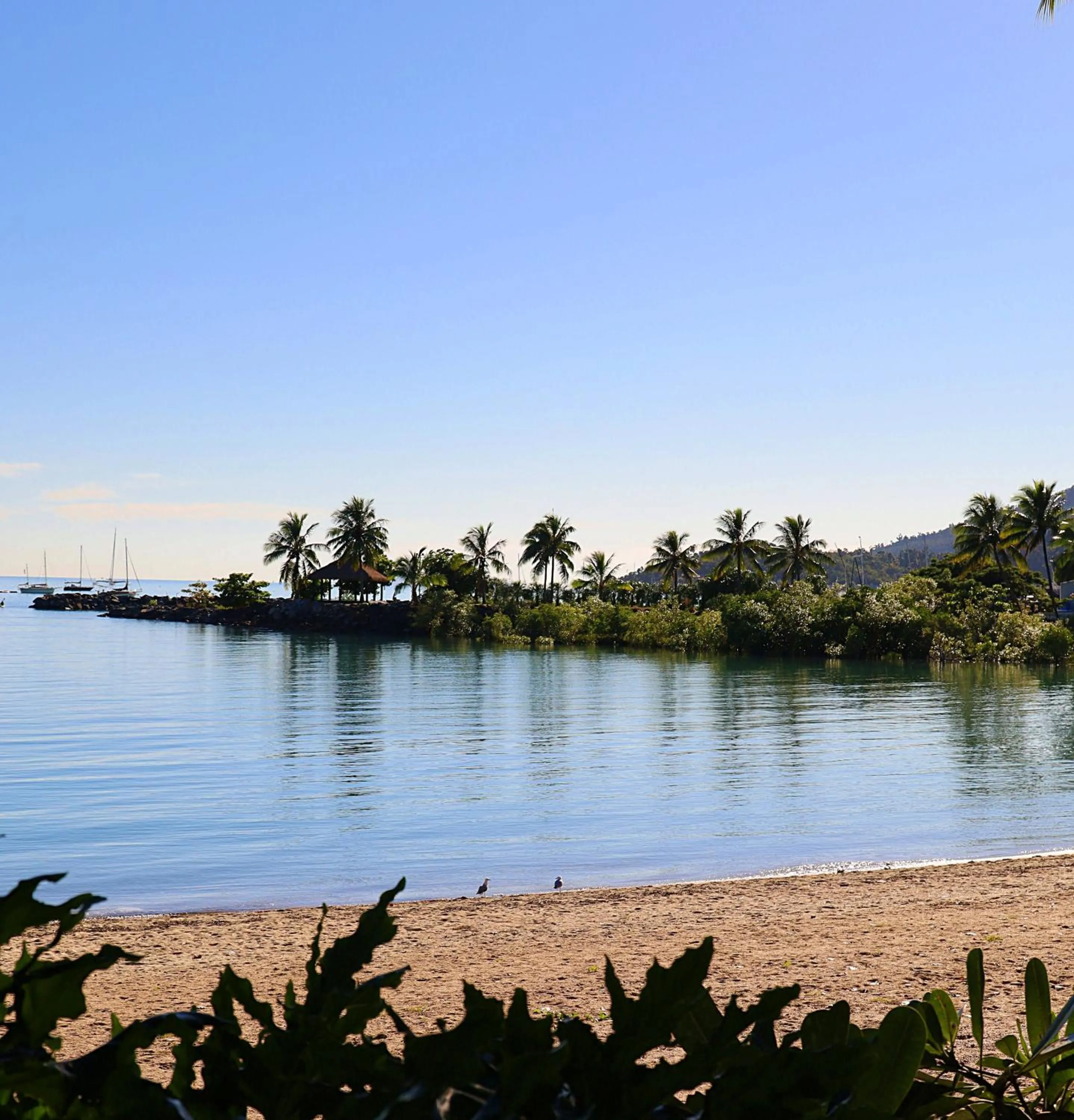 Day in Whitsunday Terraces Resort