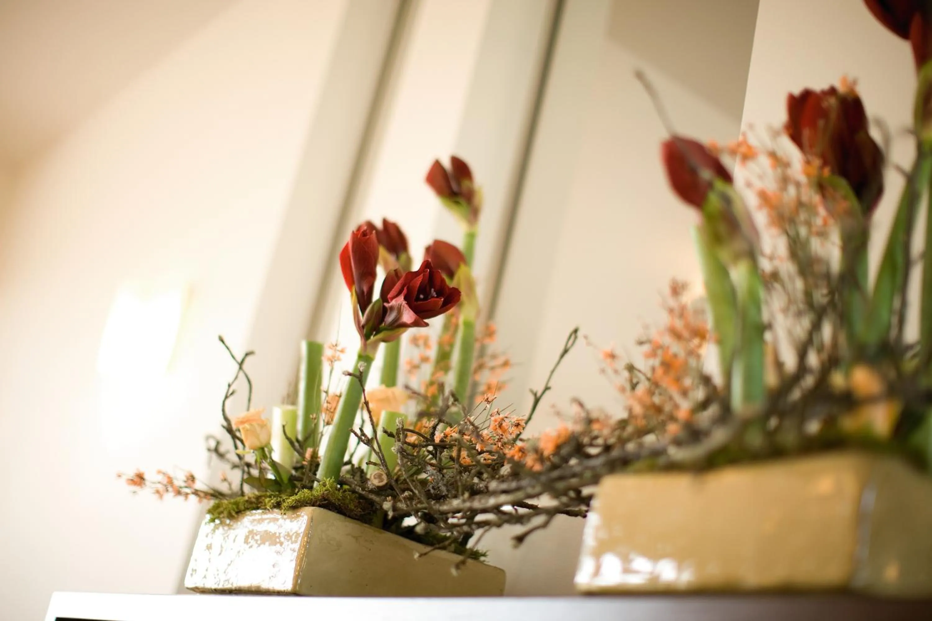 Lobby or reception in Hotel Garni Toscanina - Adults Only