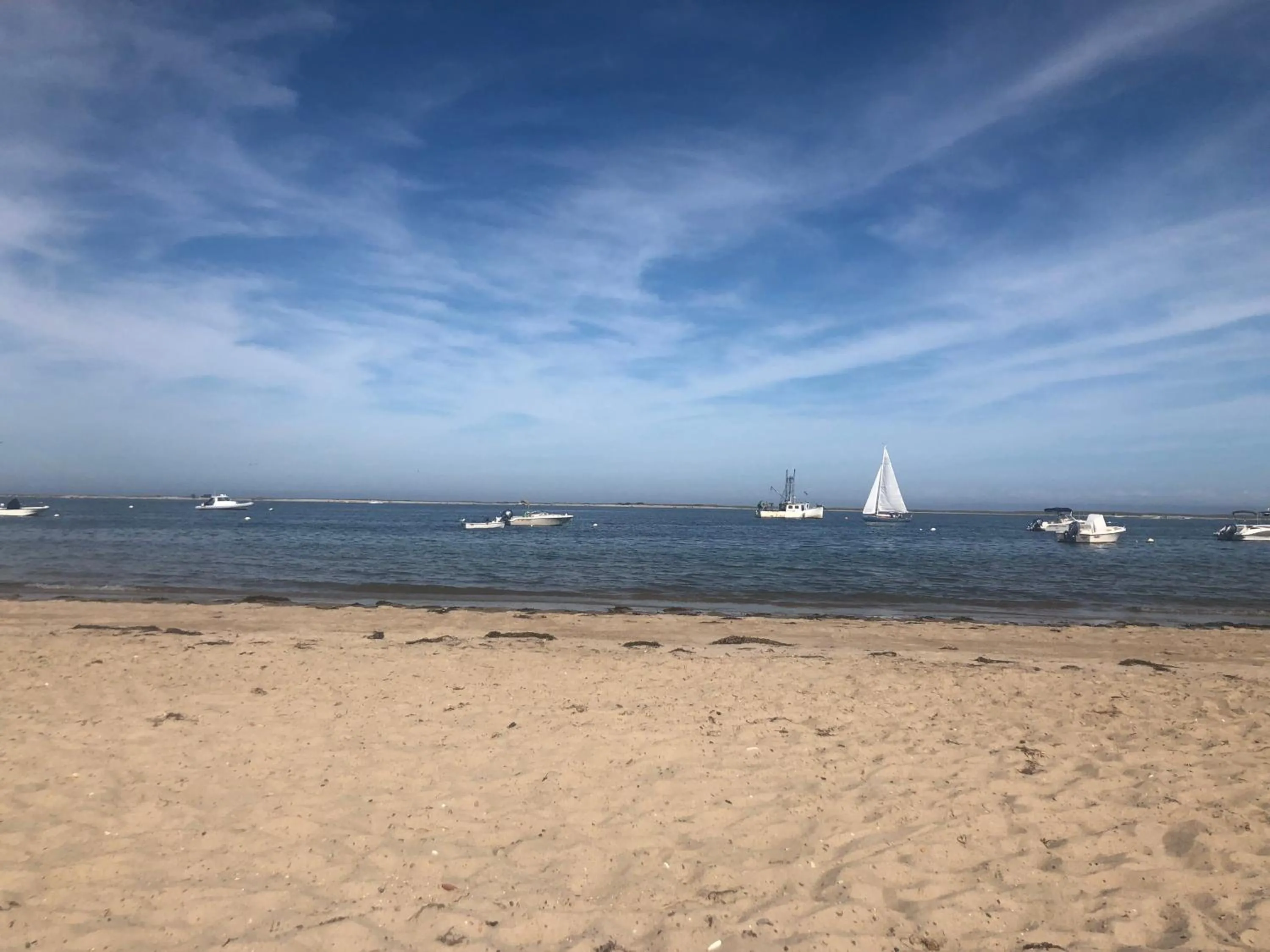 Beach in The Hawthorne