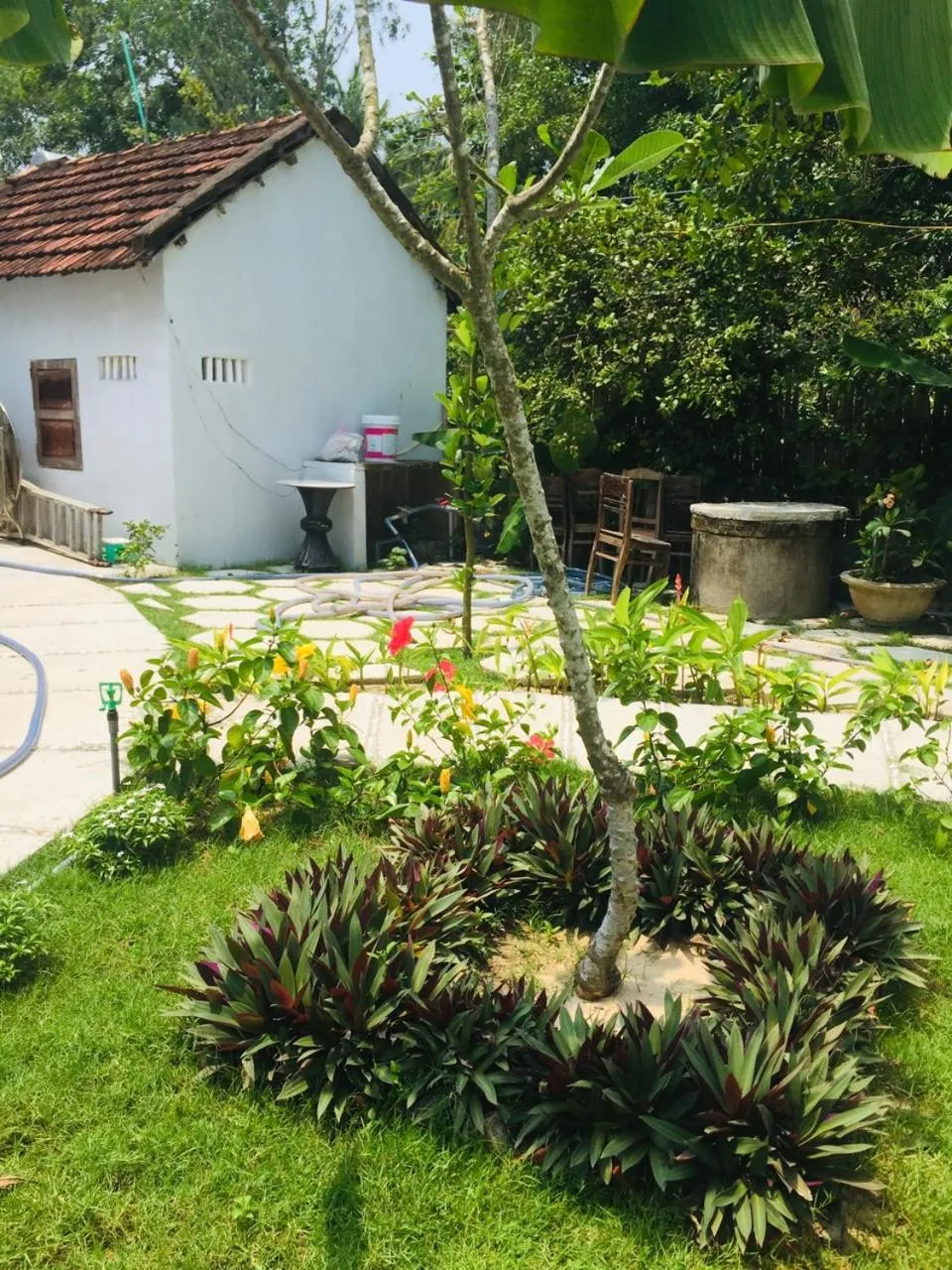 Hoi An Blue Seaside Homestay