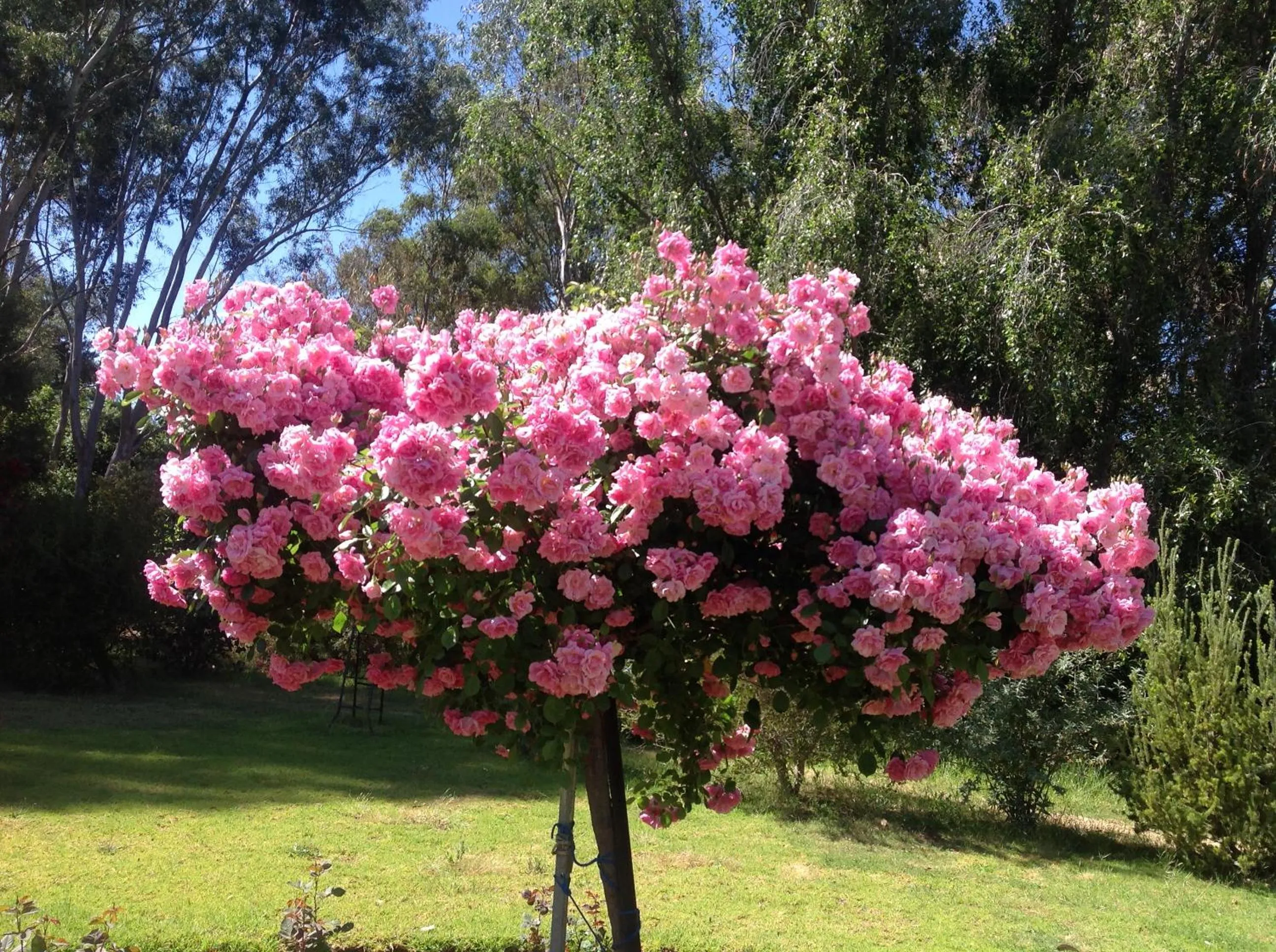 Balingup Jalbrook Cottages Jalbrook Estate