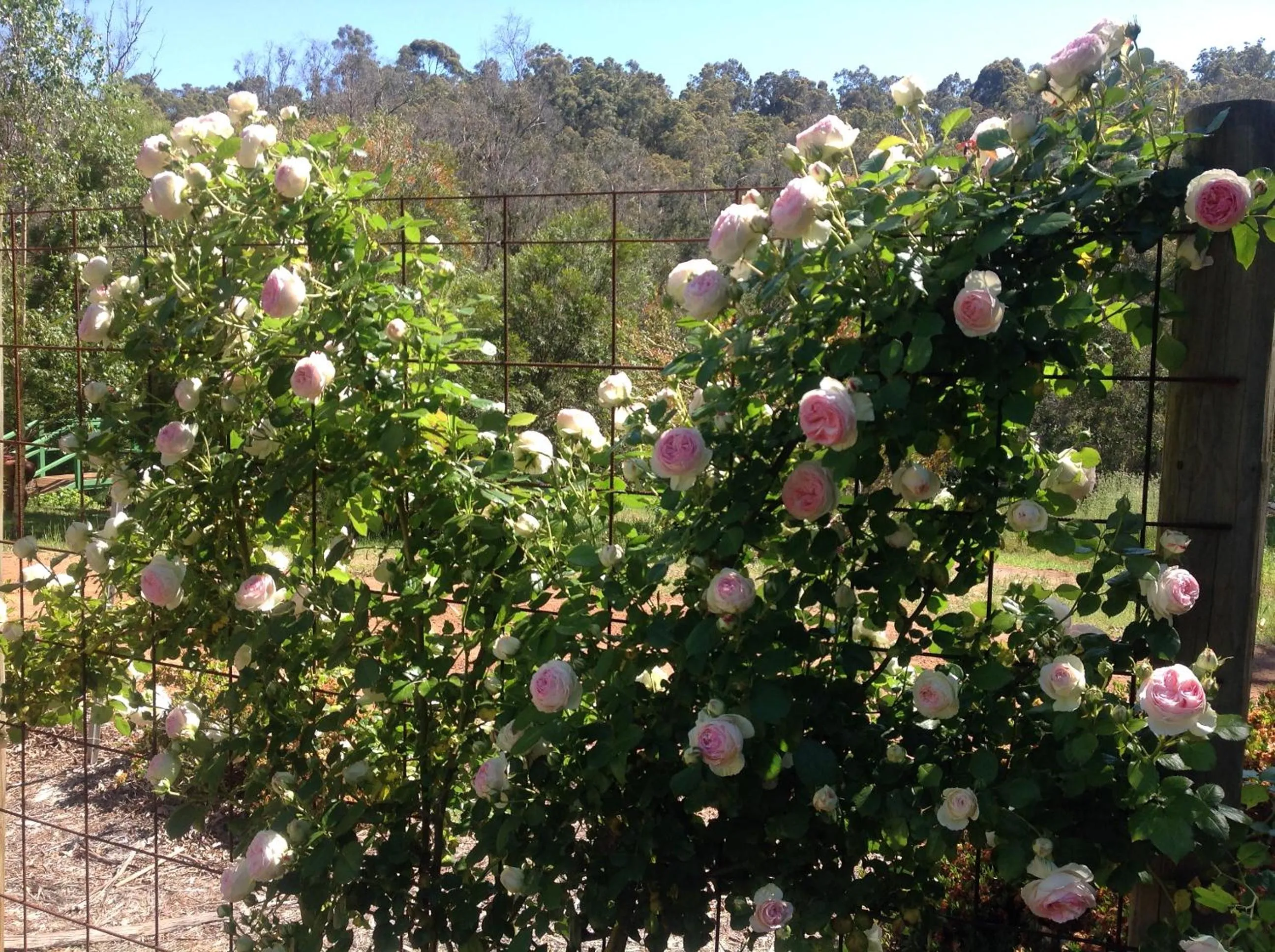 Balingup Jalbrook Cottages Jalbrook Estate