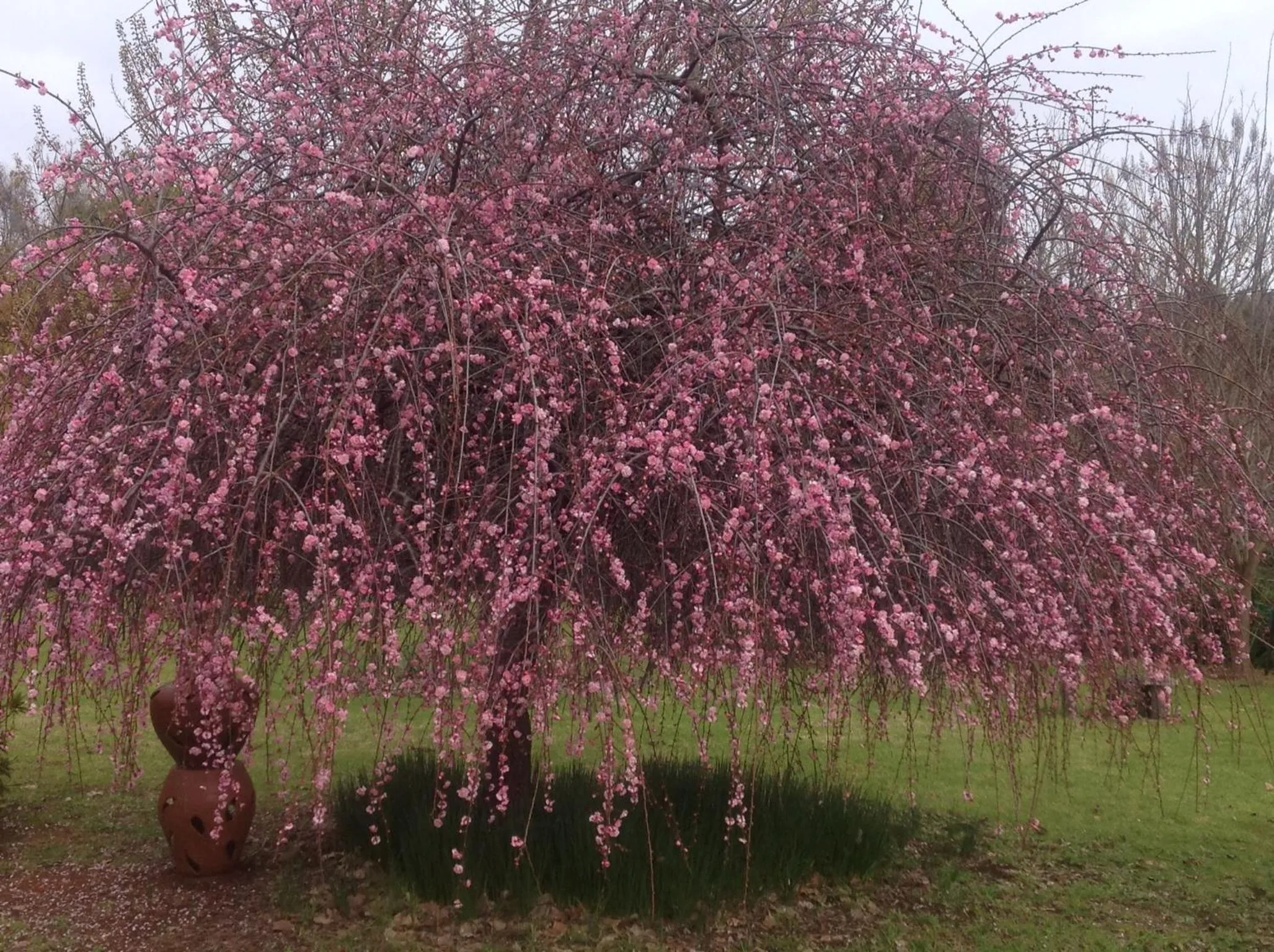 Balingup Jalbrook Cottages Jalbrook Estate