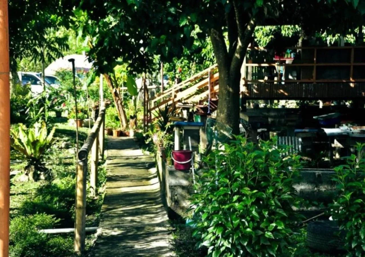 Garden in Kinabalu Poring Vacation Lodge