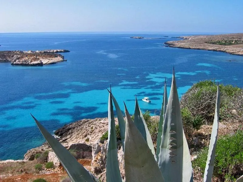 Natural landscape in Villa Pirreca