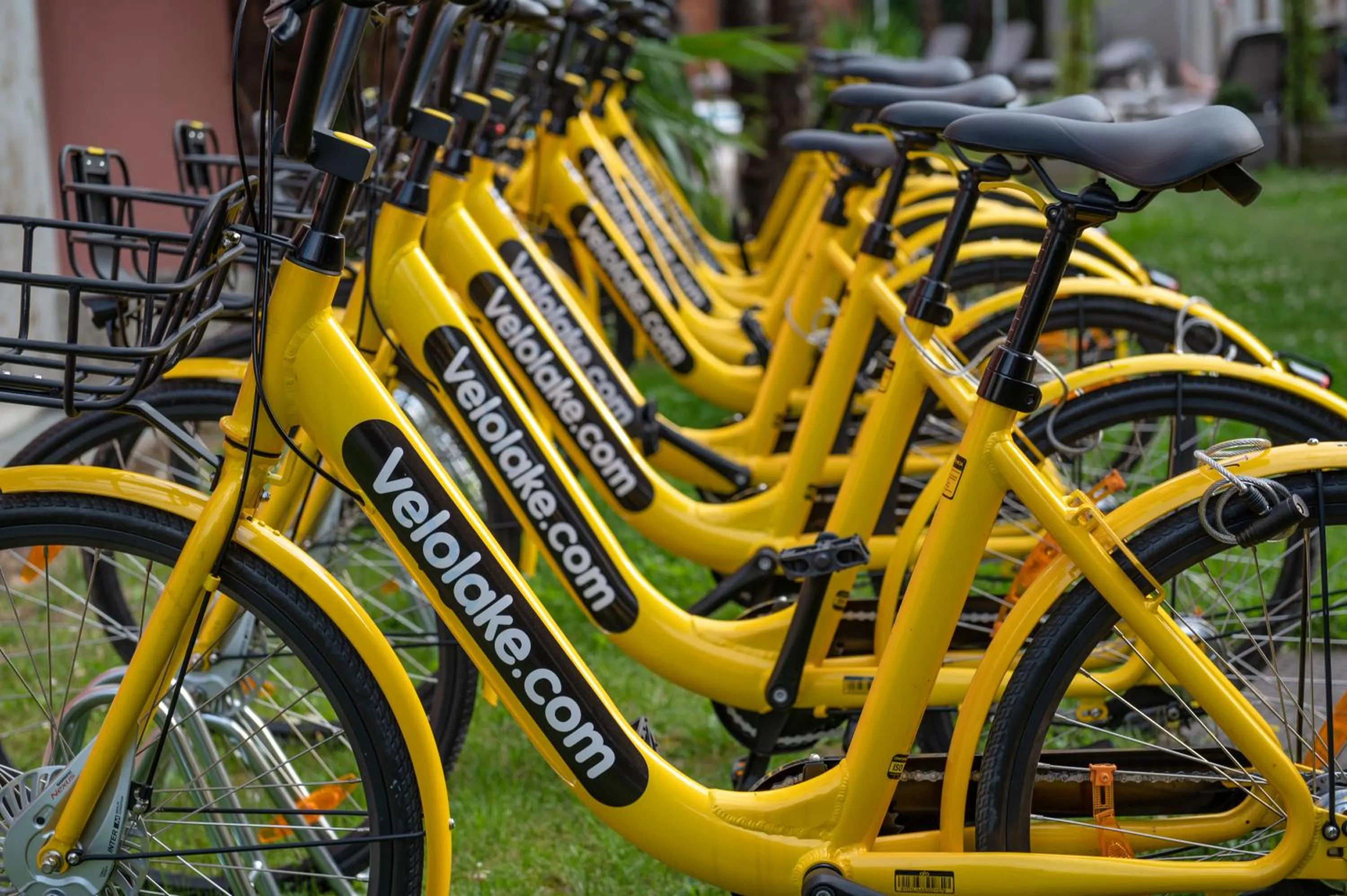 Cycling in Palace Hotel Città