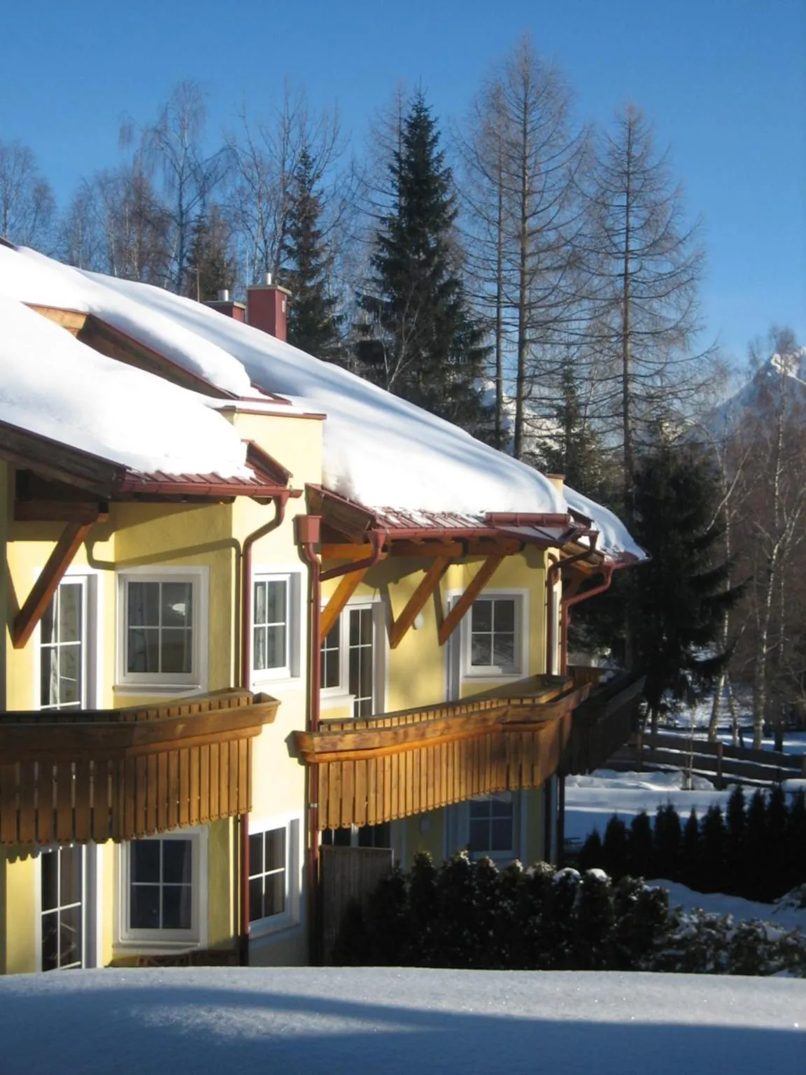 Haus Elisengrund am Geigenbuehel - chalet privé