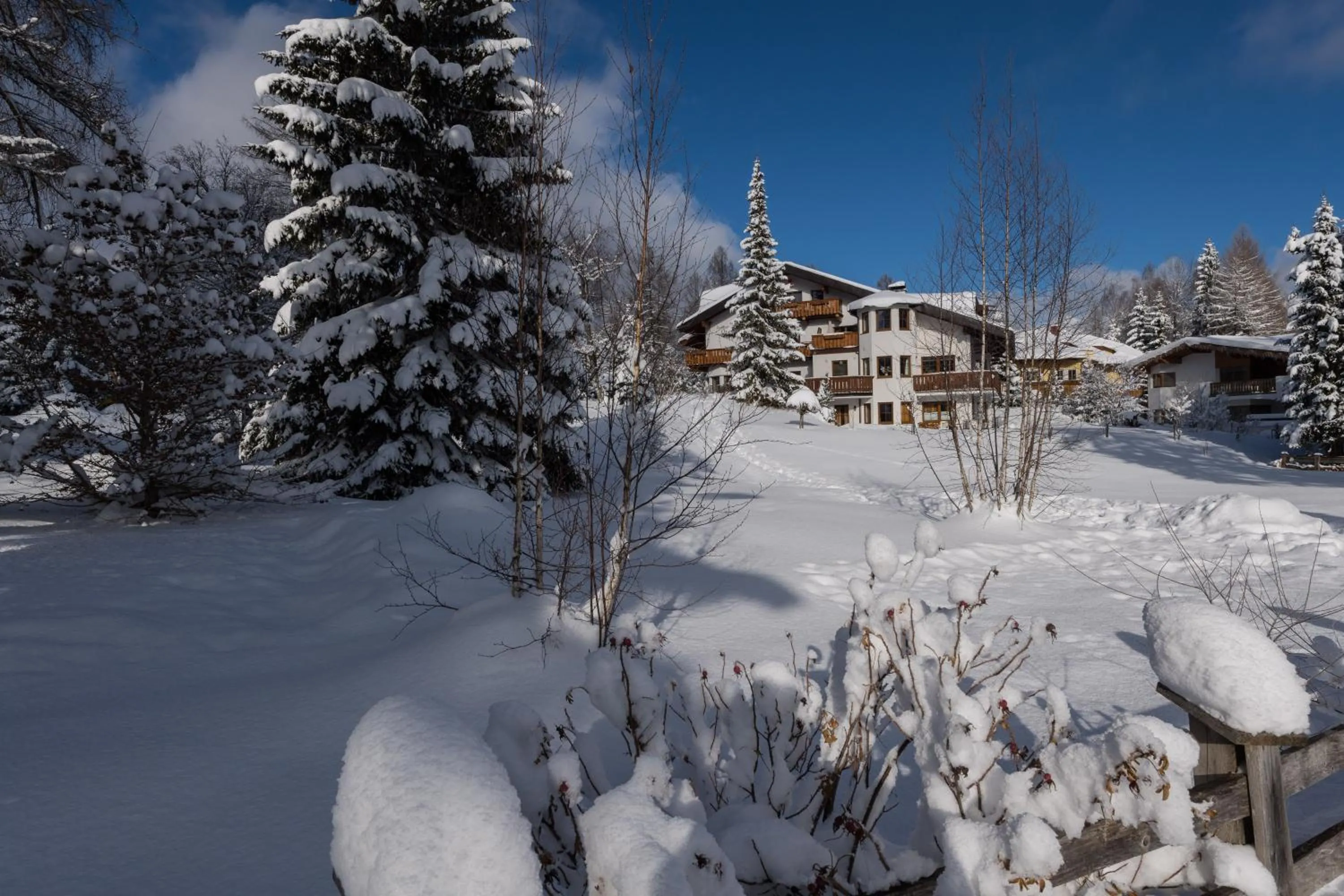 Haus Elisengrund am Geigenbuehel - chalet privé