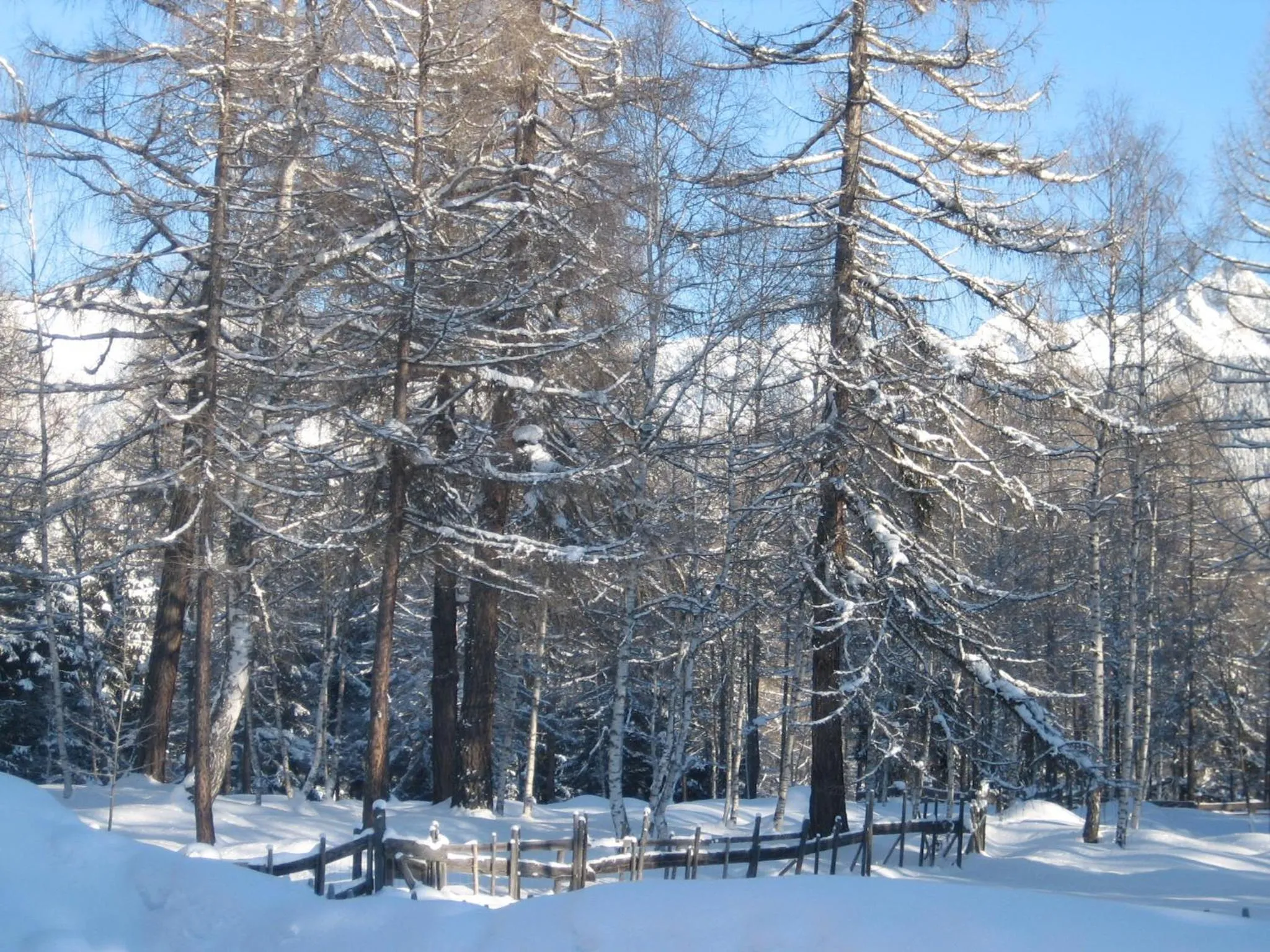 Haus Elisengrund am Geigenbuehel - chalet privé