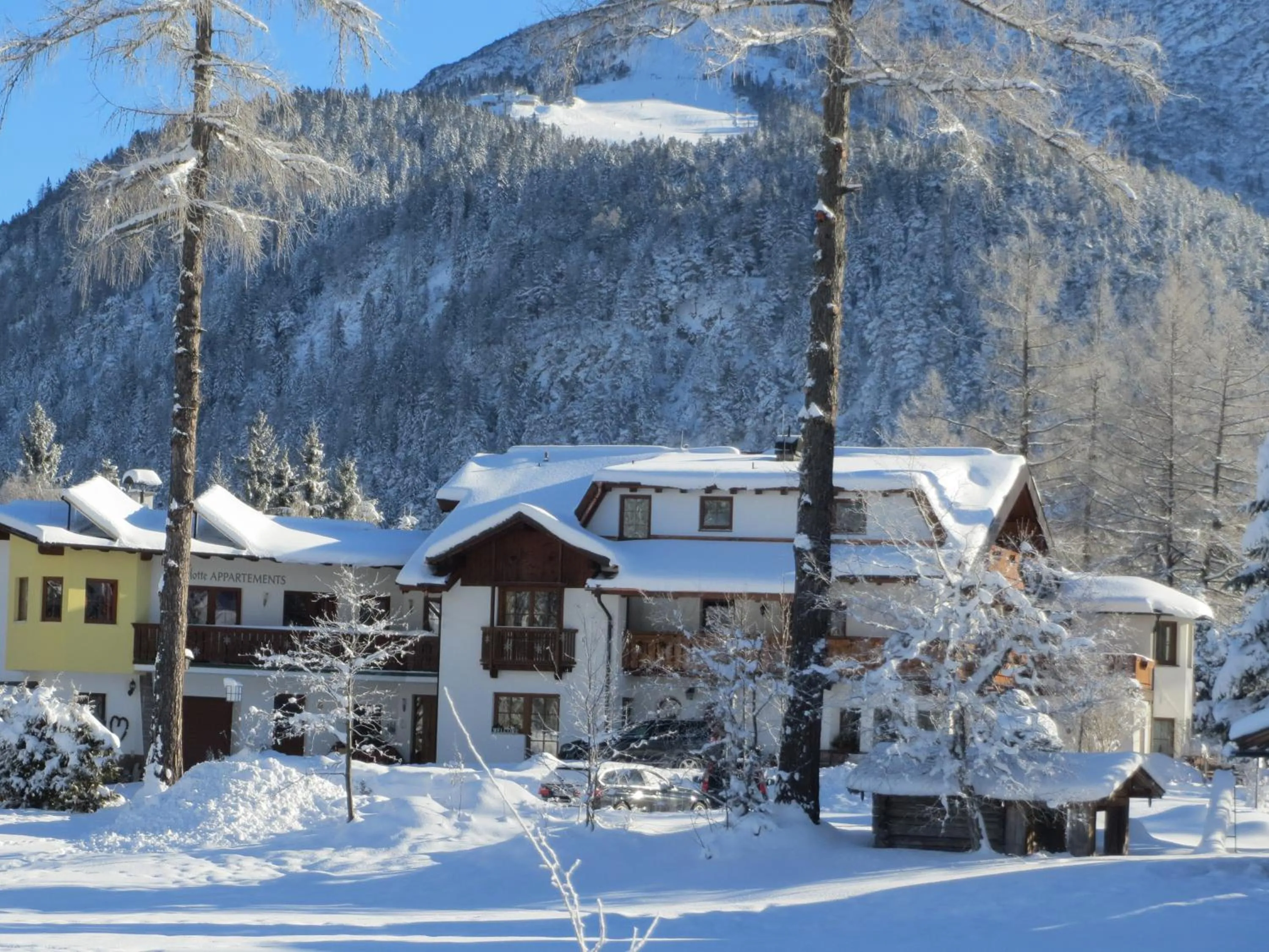 Haus Elisengrund am Geigenbuehel - chalet privé