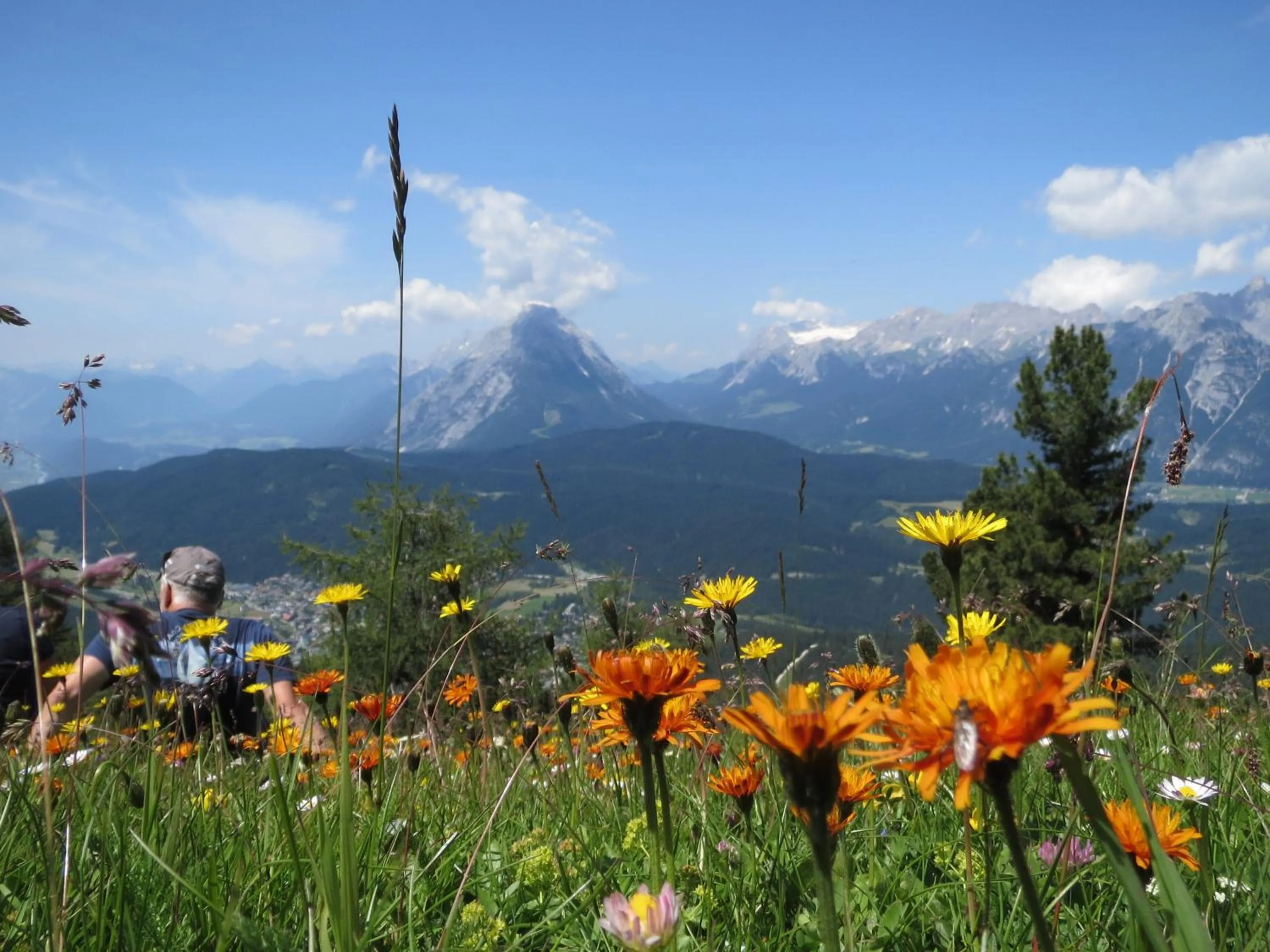 Hiking in Haus Elisengrund am Geigenbuehel - chalet privé