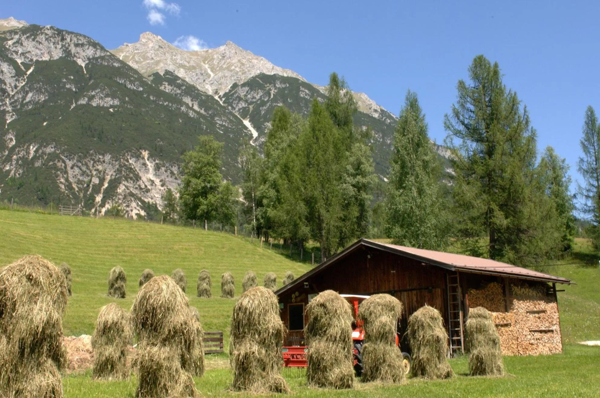 Haus Elisengrund am Geigenbuehel - chalet privé