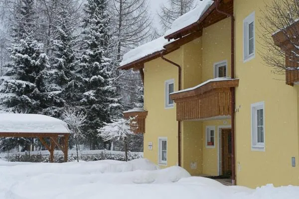 Winter in Haus Elisengrund am Geigenbuehel - chalet privé