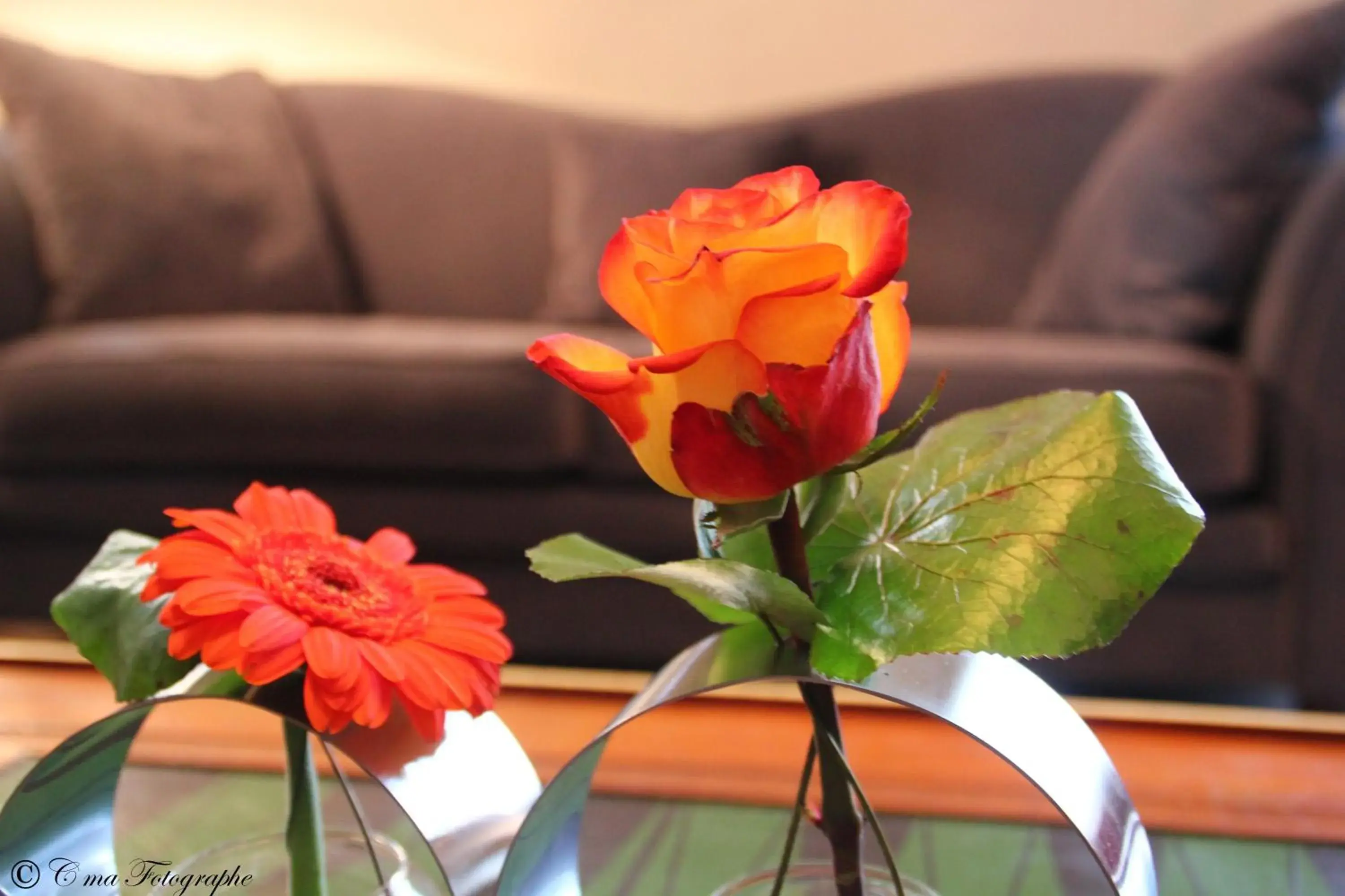 Hôtel Majestic Hôtel Majestic