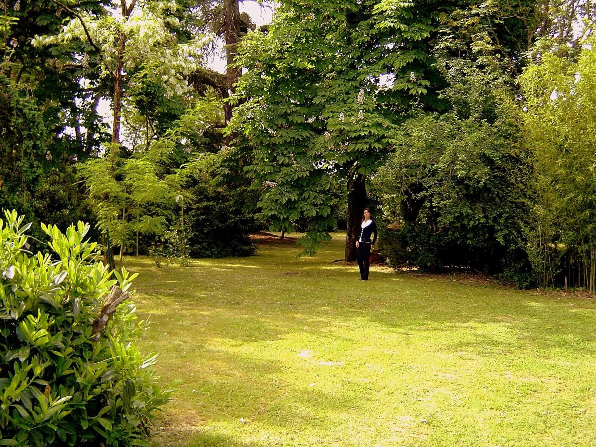 Garden in Le Moulin du Carla