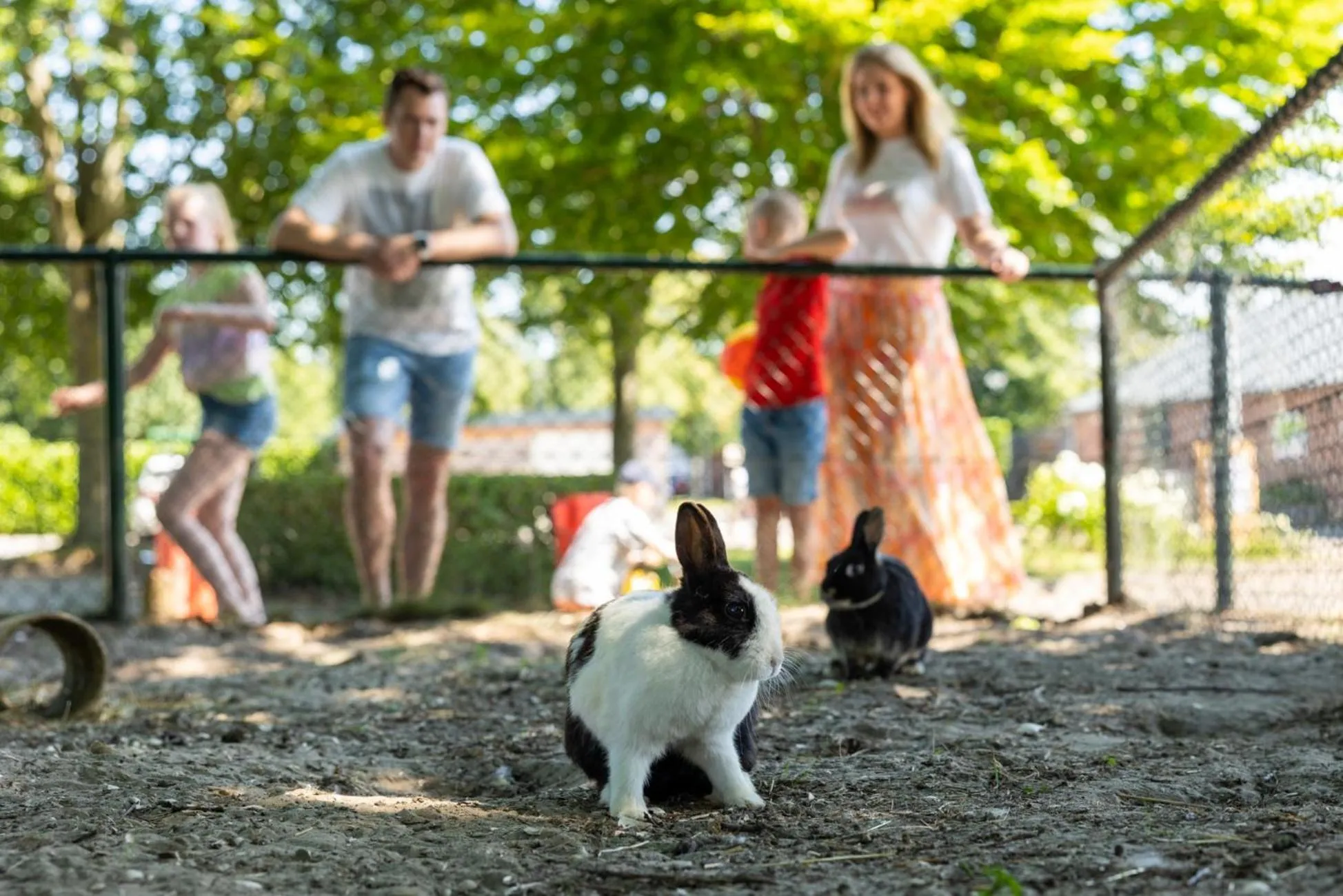 Activities in RCN Zeewolde