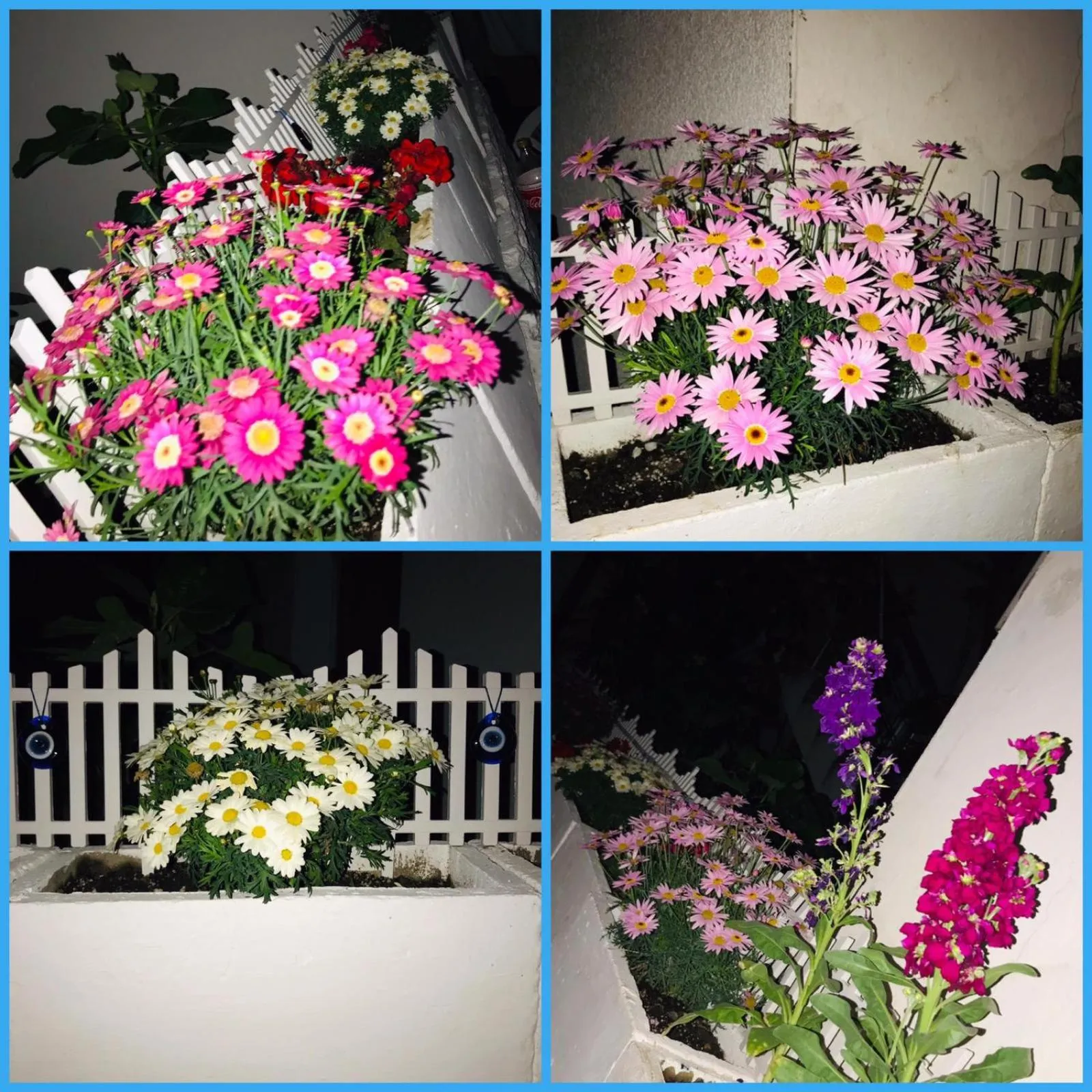 Balcony/Terrace in Halikarnas Pansiyon